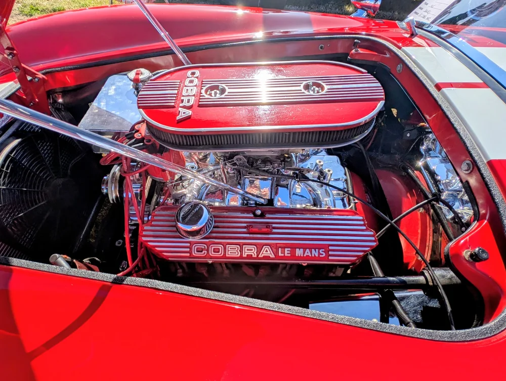 Rob's Cobra, first place at the show