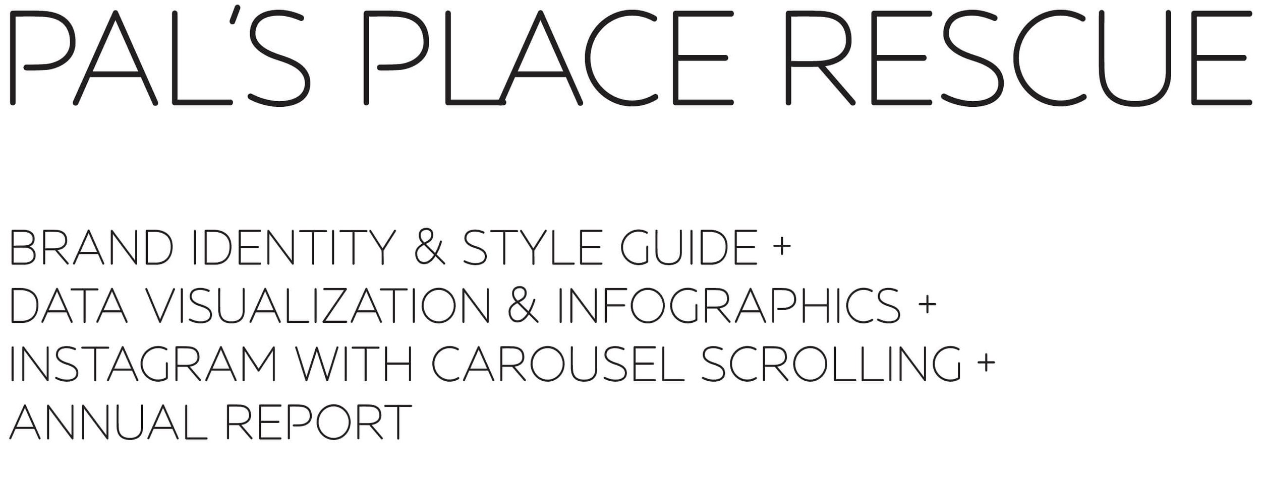 Pal’s Place Rescue: Brand Identity & Style Guide + Data Visualization & Infographics + Instagram With Carousel Scrolling + Annual Report
