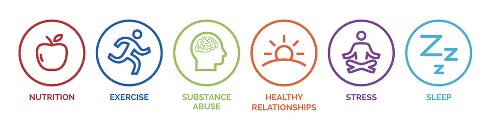 Icons representing nutrition, exercise, substance abuse, healthy relationships, stress, and sleep.