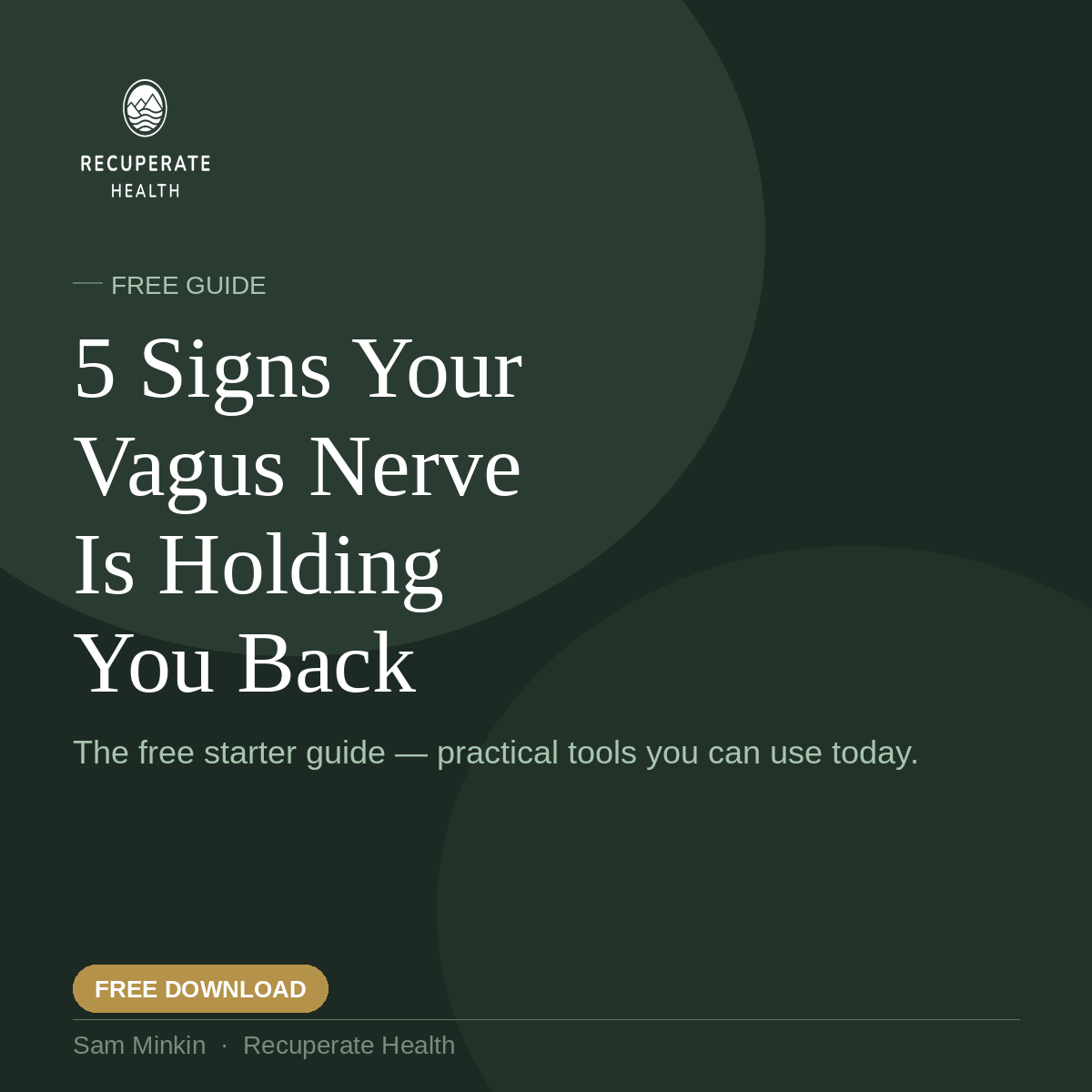 The Cheat Code to Your Vagus Nerve (FREE EBOOK)
