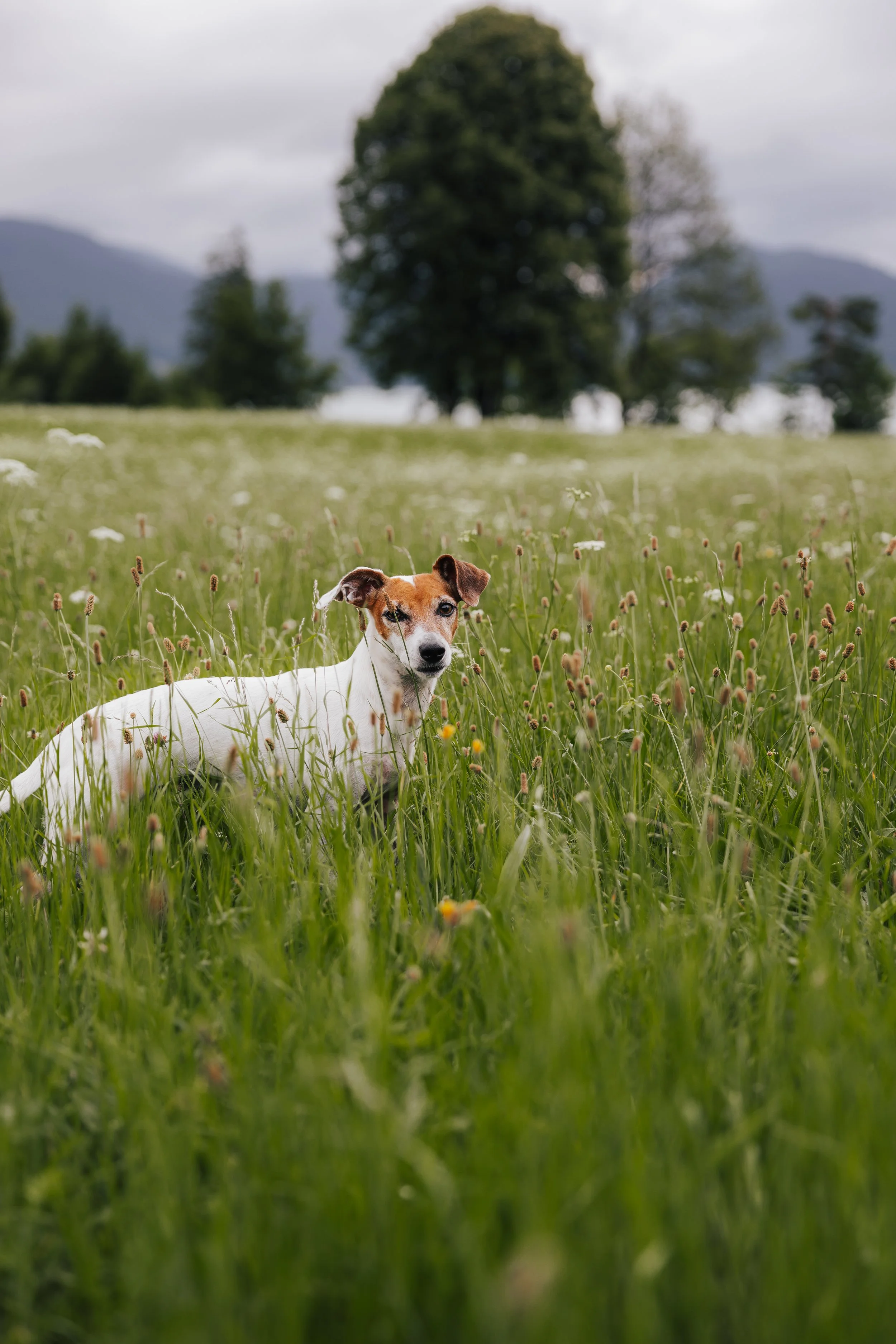17_Wallerei_©LucyBinder.jpg