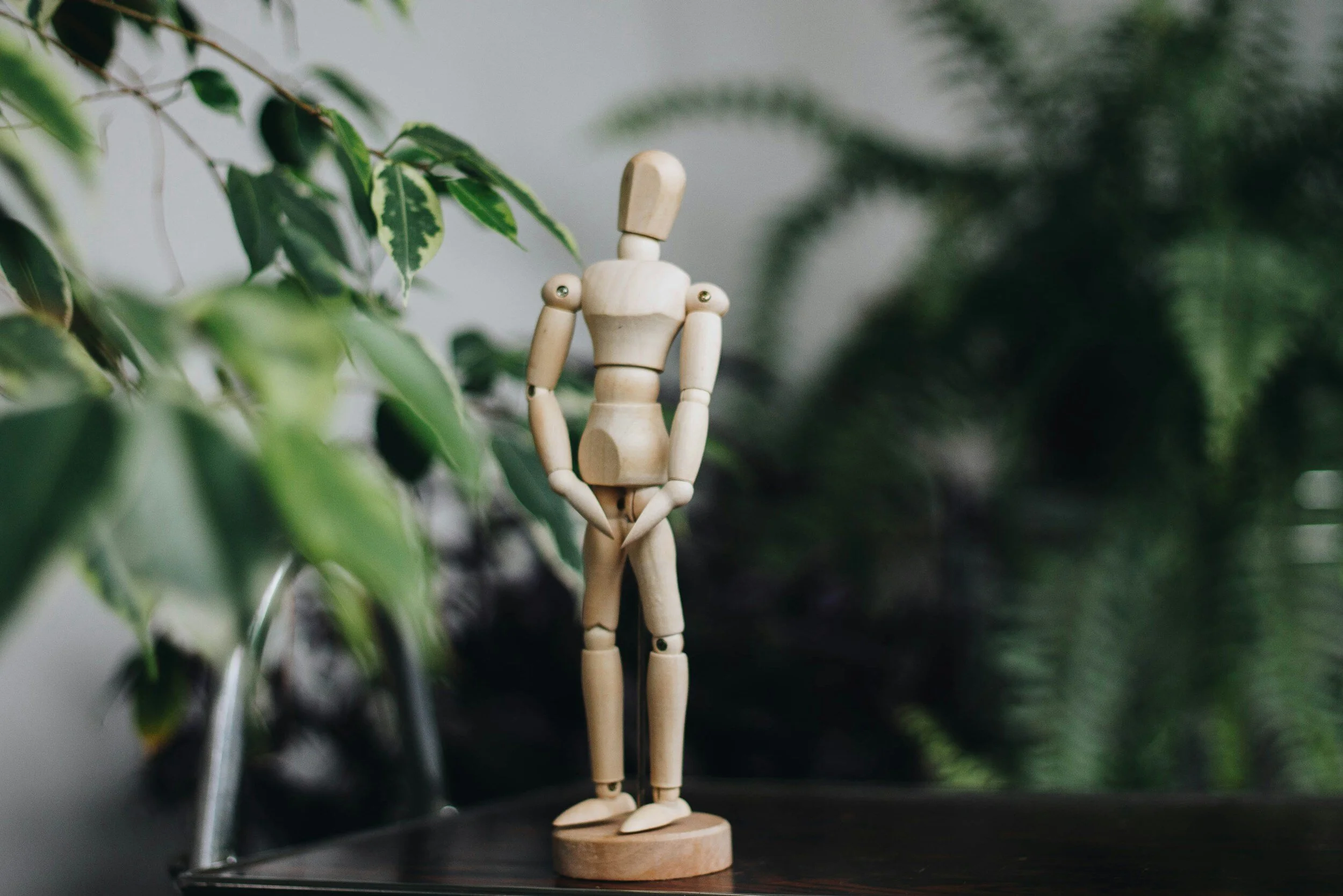 Wooden mannequin figure standing on a table surrounded by green plants.