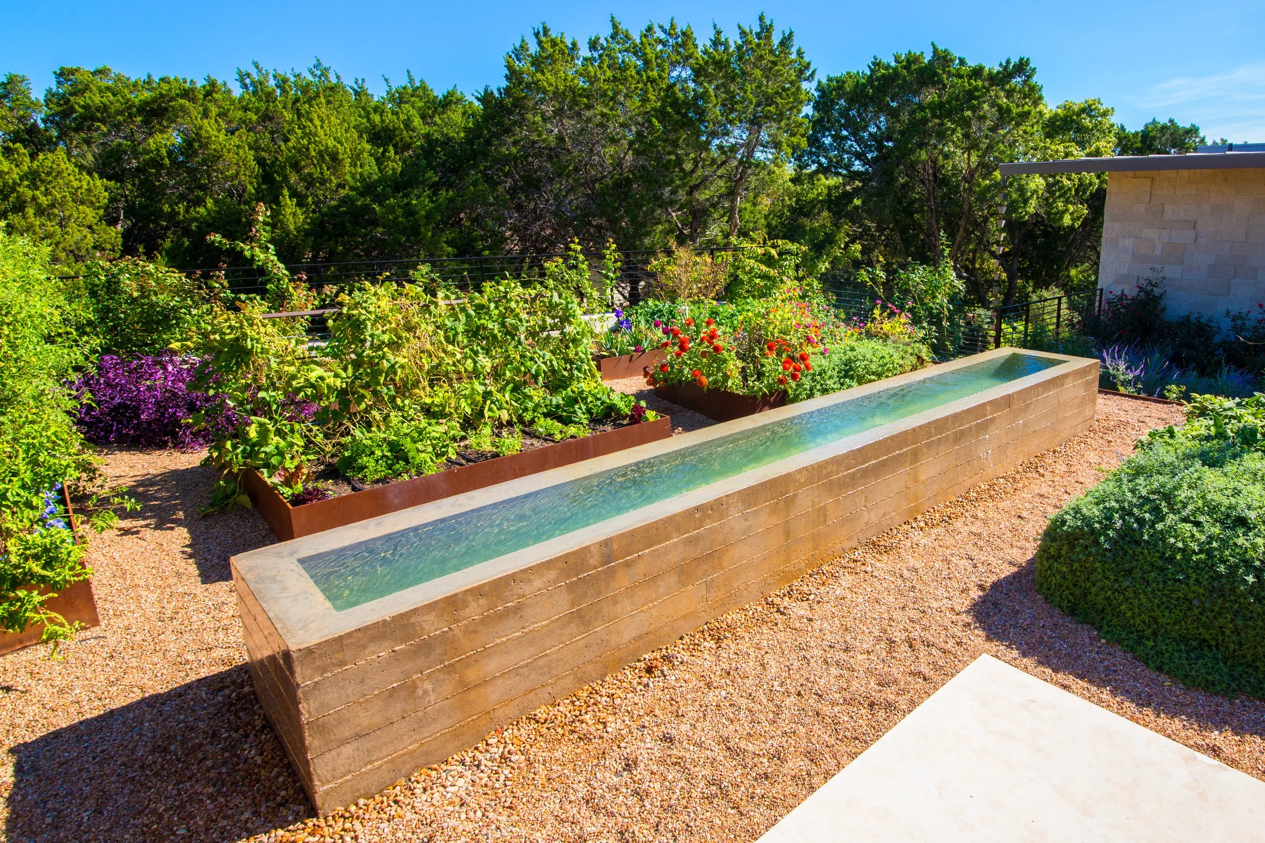 Hill Country Contemporary Aqua Builders Austin Texas Pool Builders Meditation Garden