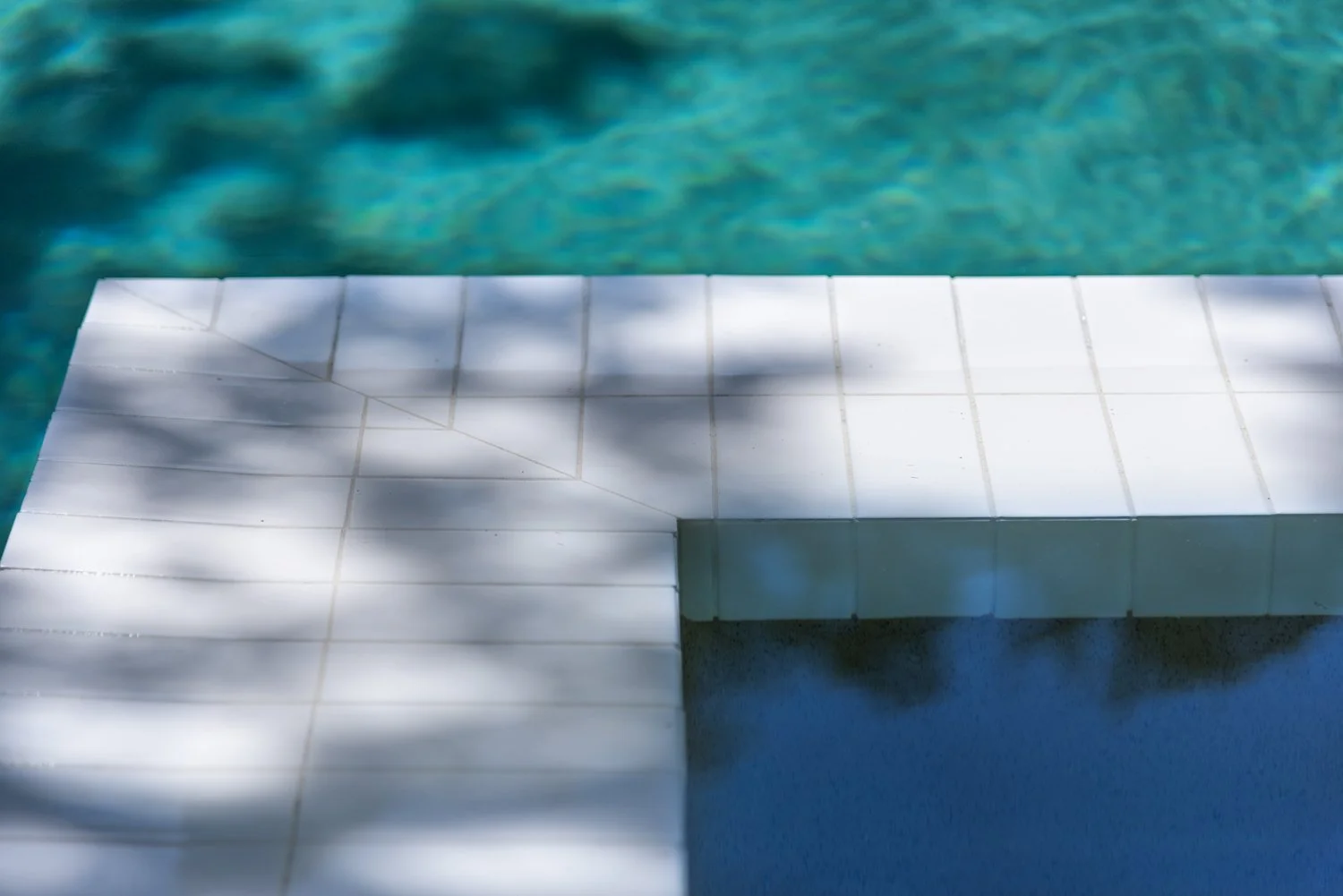 Jimi Smith Photography Group   JS(JM)04.jpg