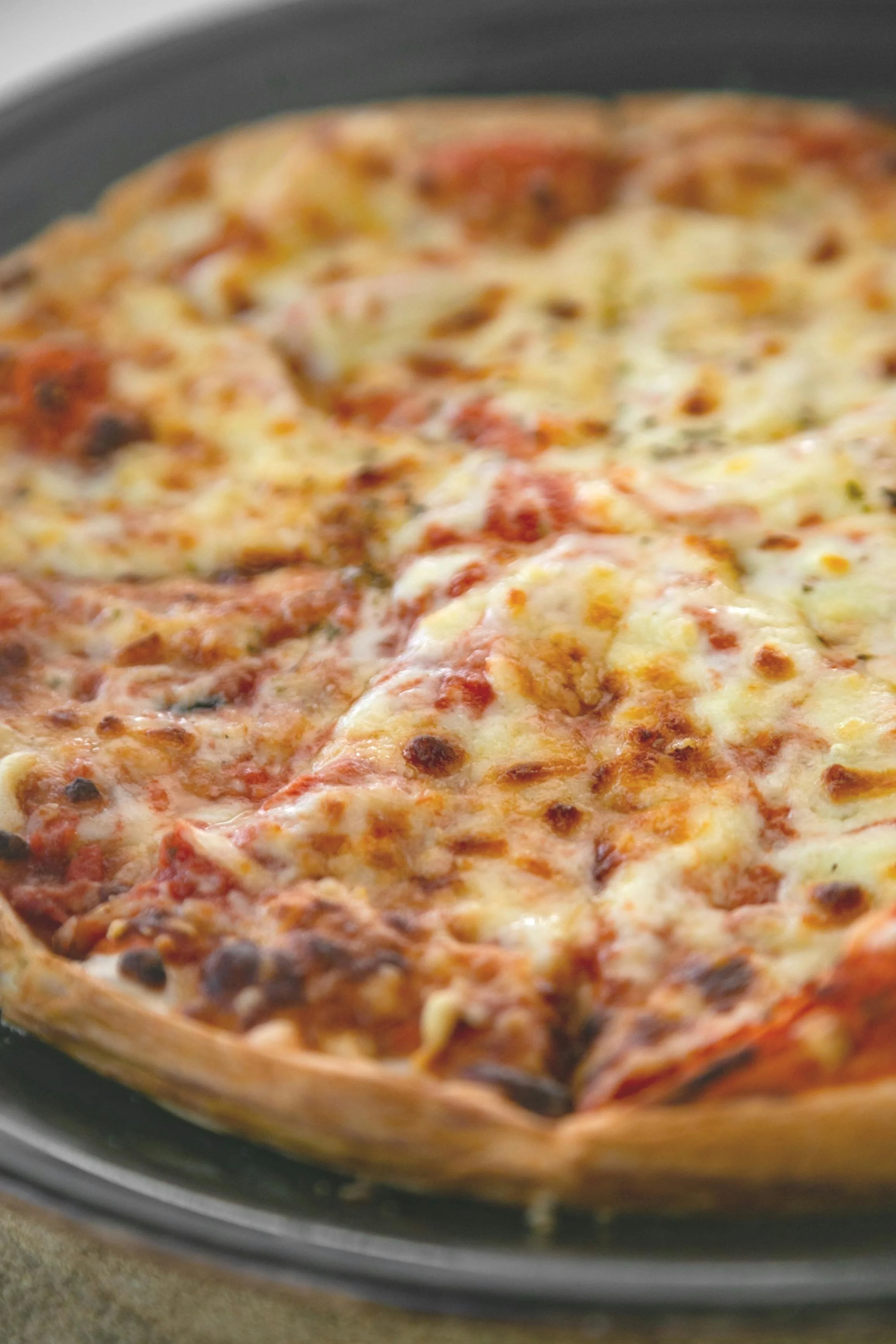 Pizza Lunch: 1st Semester