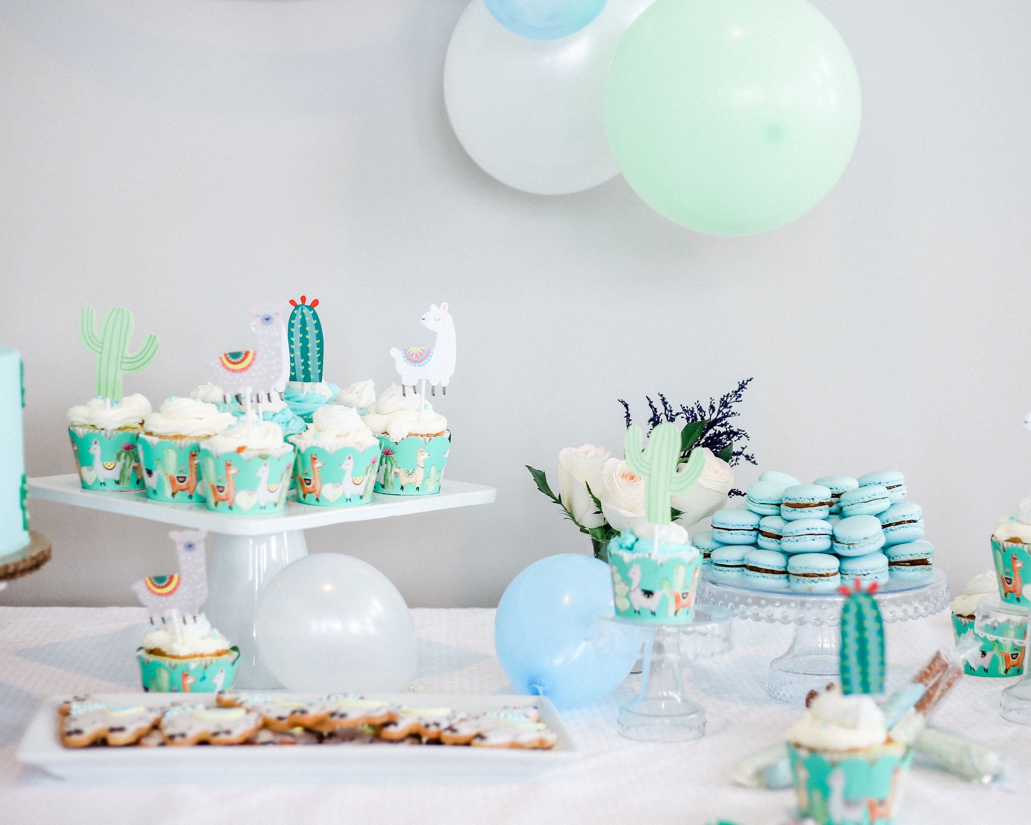 Llama Theme Gender Neutral Baby Shower