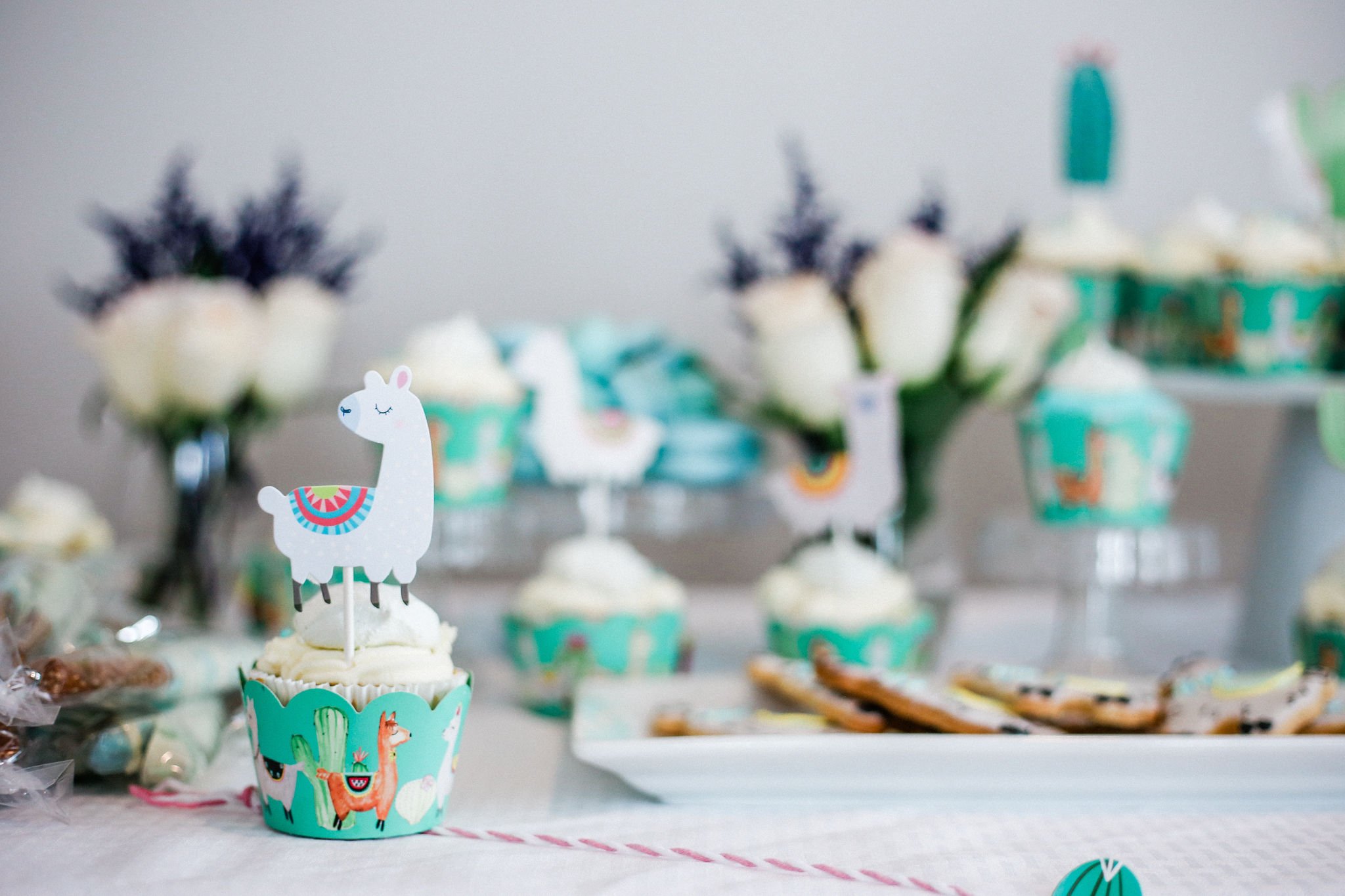 Gender Neutral Baby Shower