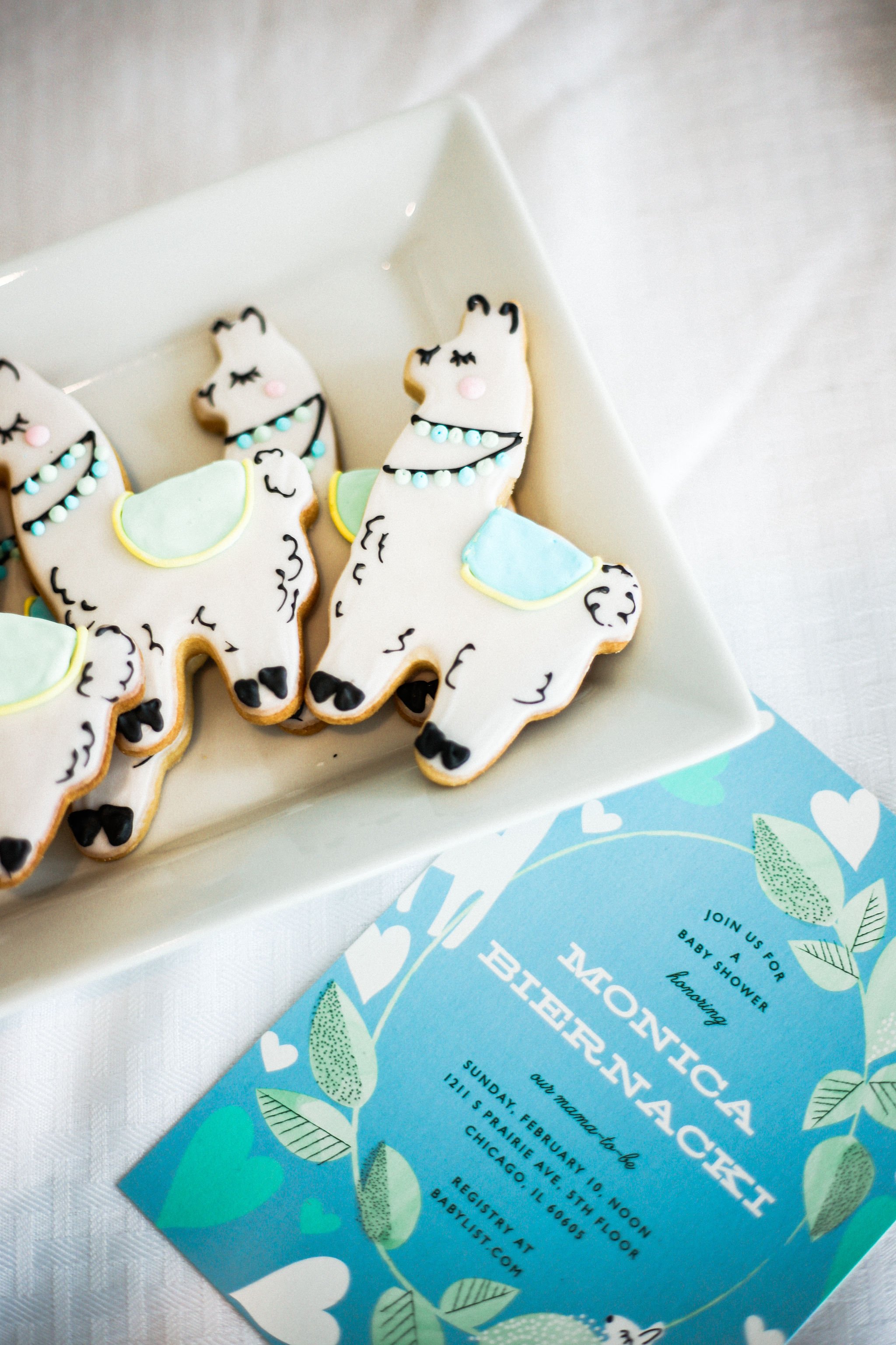 Llama Theme Gender Neutral Baby Shower