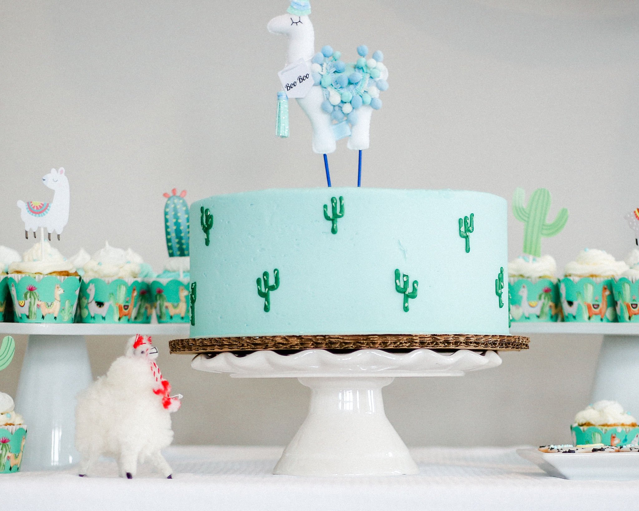 Llama Theme cake