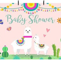 Baby Shower Photo Studio Booth
