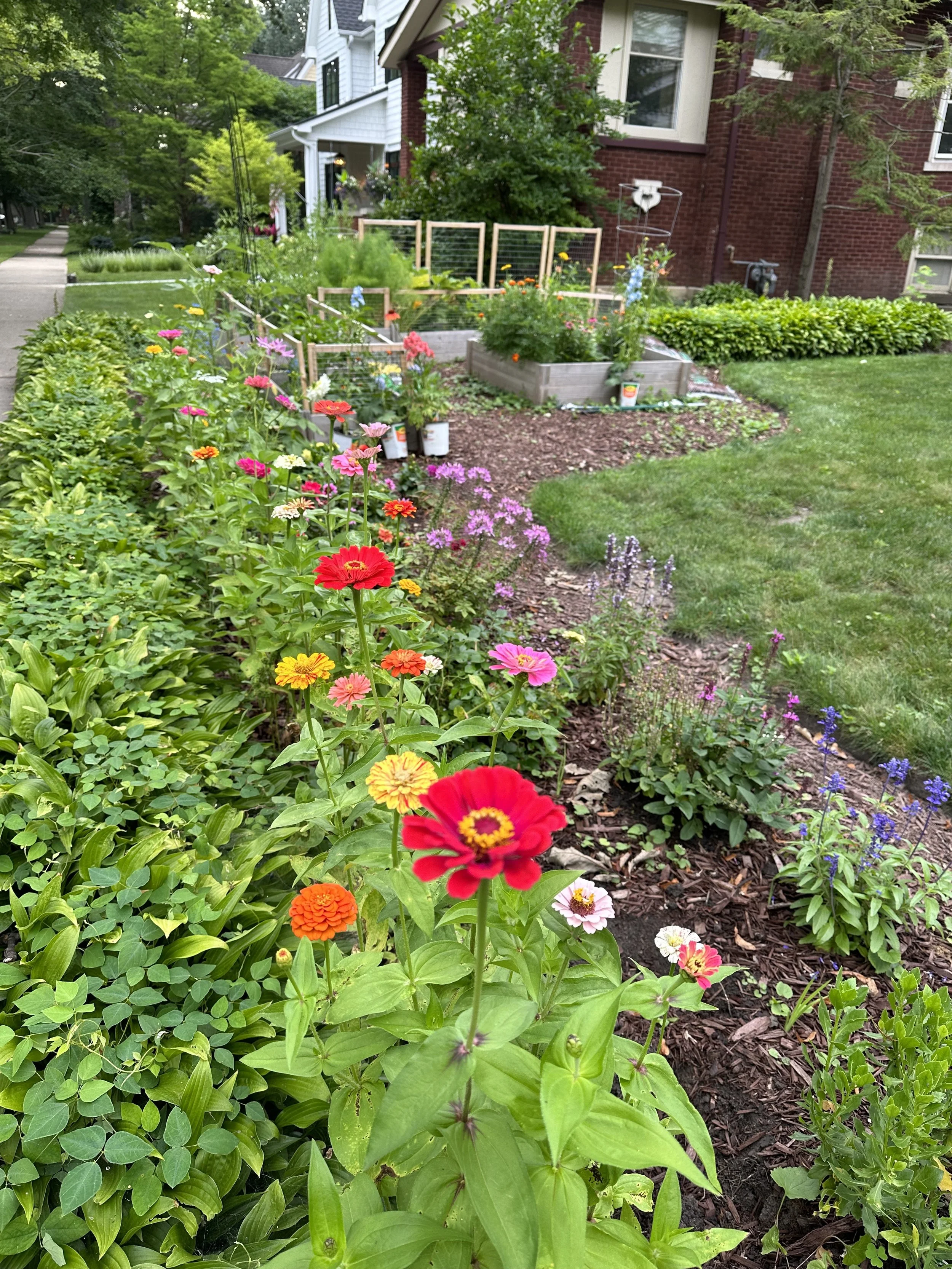 How do I plan the layout of my garden