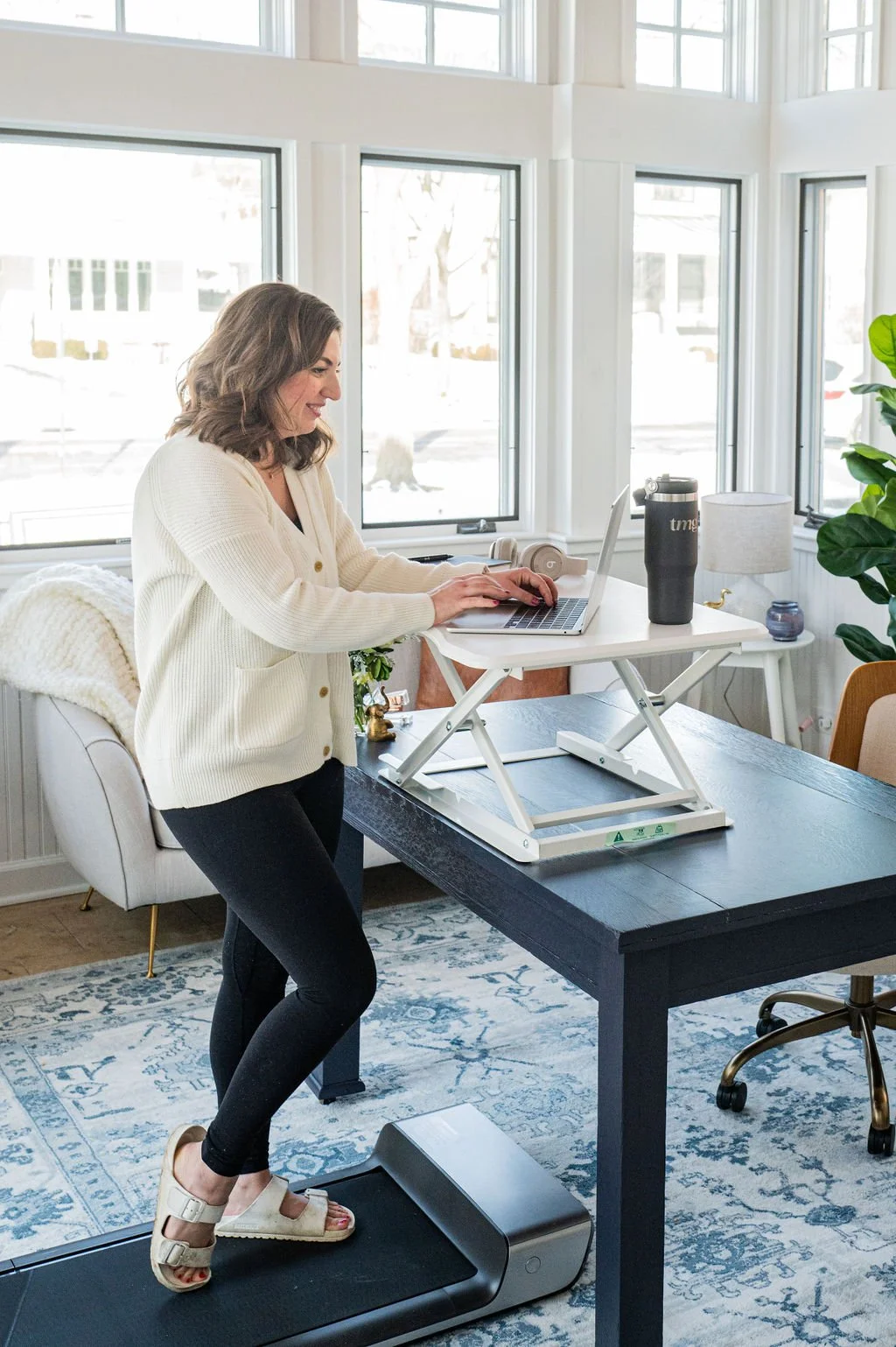 best standing desk converter home office