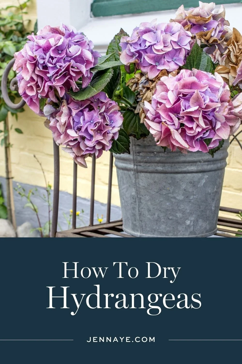Easy Ways to Preserve & Dry Hydrangea Flowers