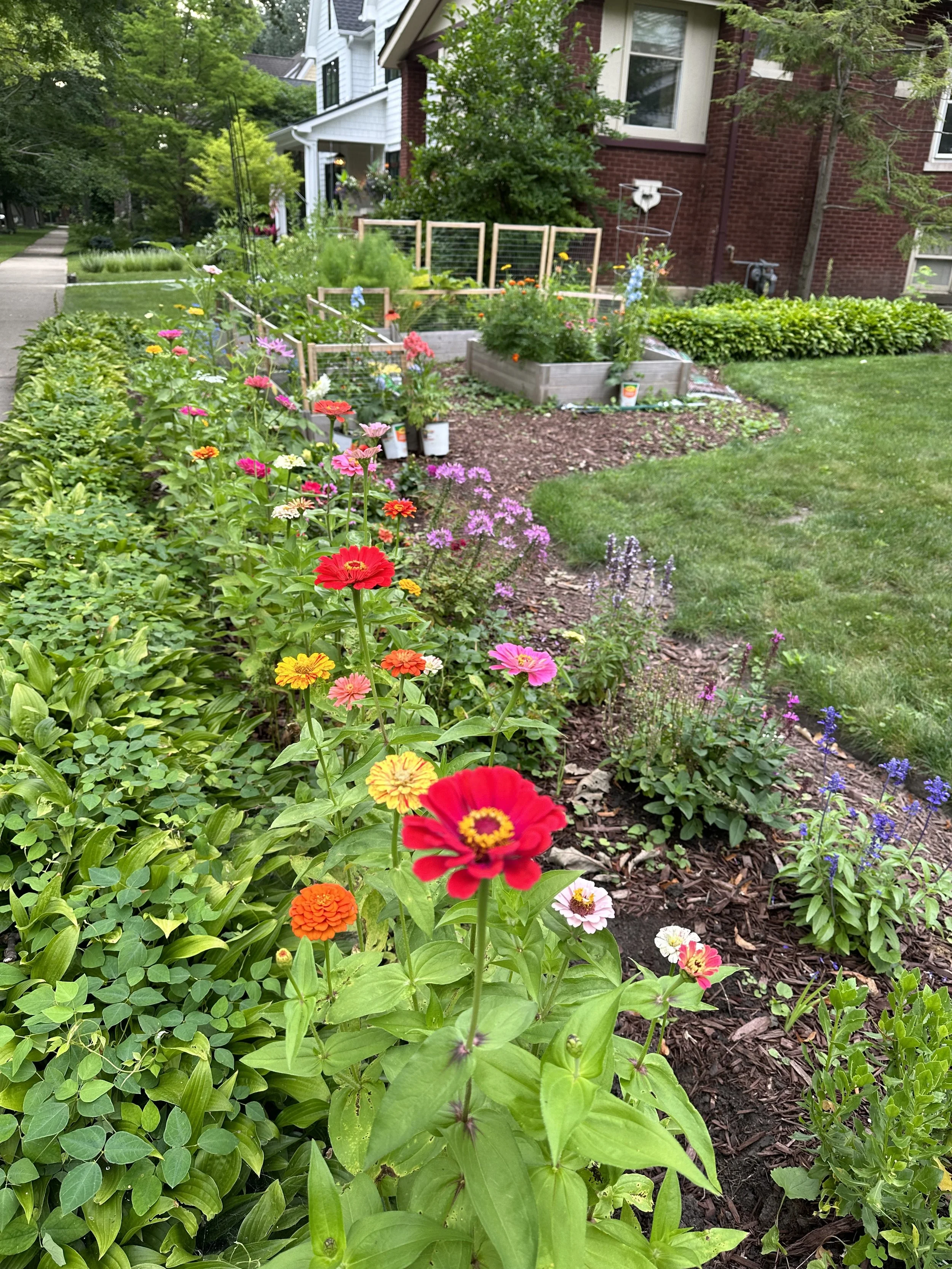 Greenes Fence Review Cut Flower Garden Zinnia