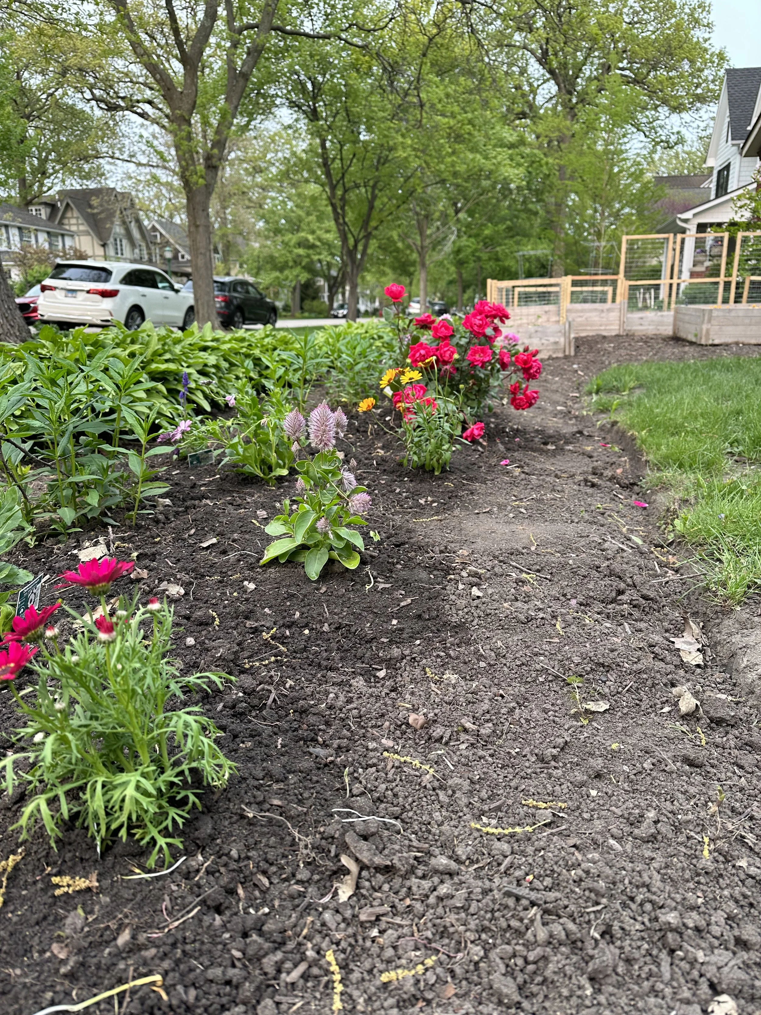 top soil vs. mulch