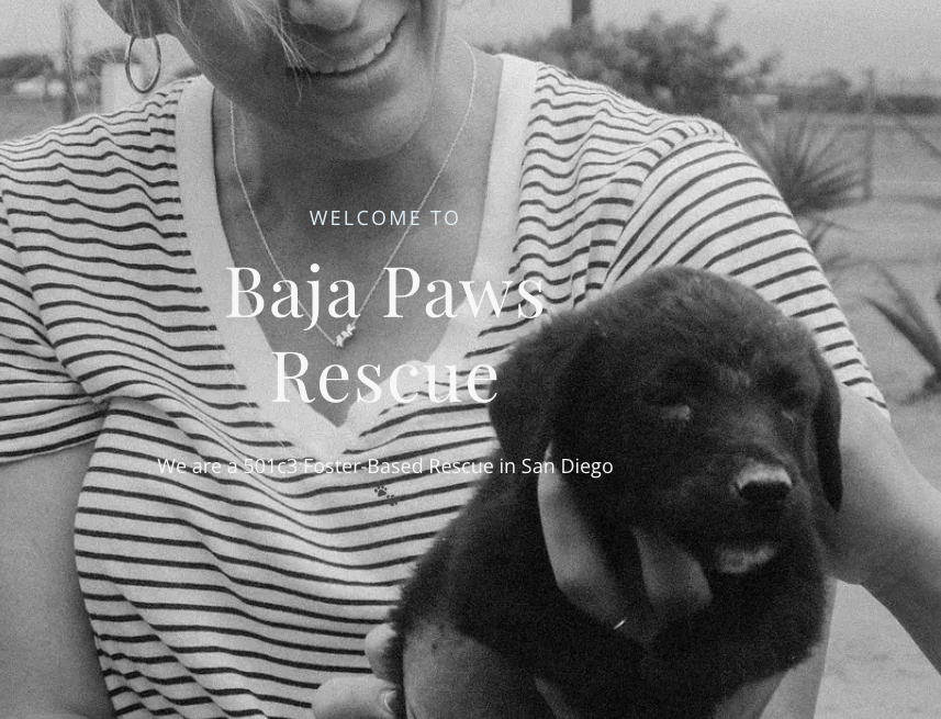 Baja Paws Puppy Yoga x Adoption Event