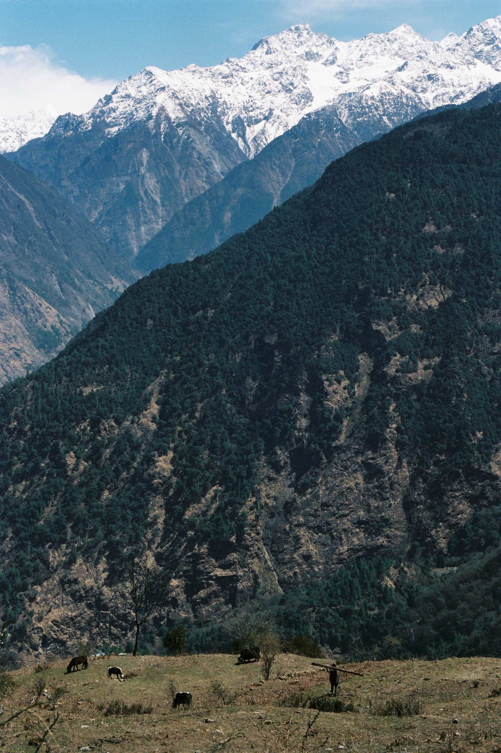 Visuals - Film - 2023 - Nepal - Colour - Langtang Farmer.JPG