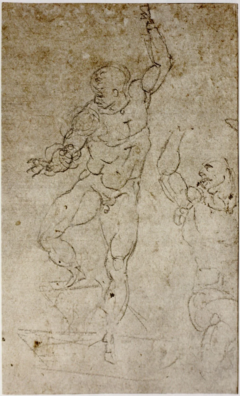 Michelangelo
