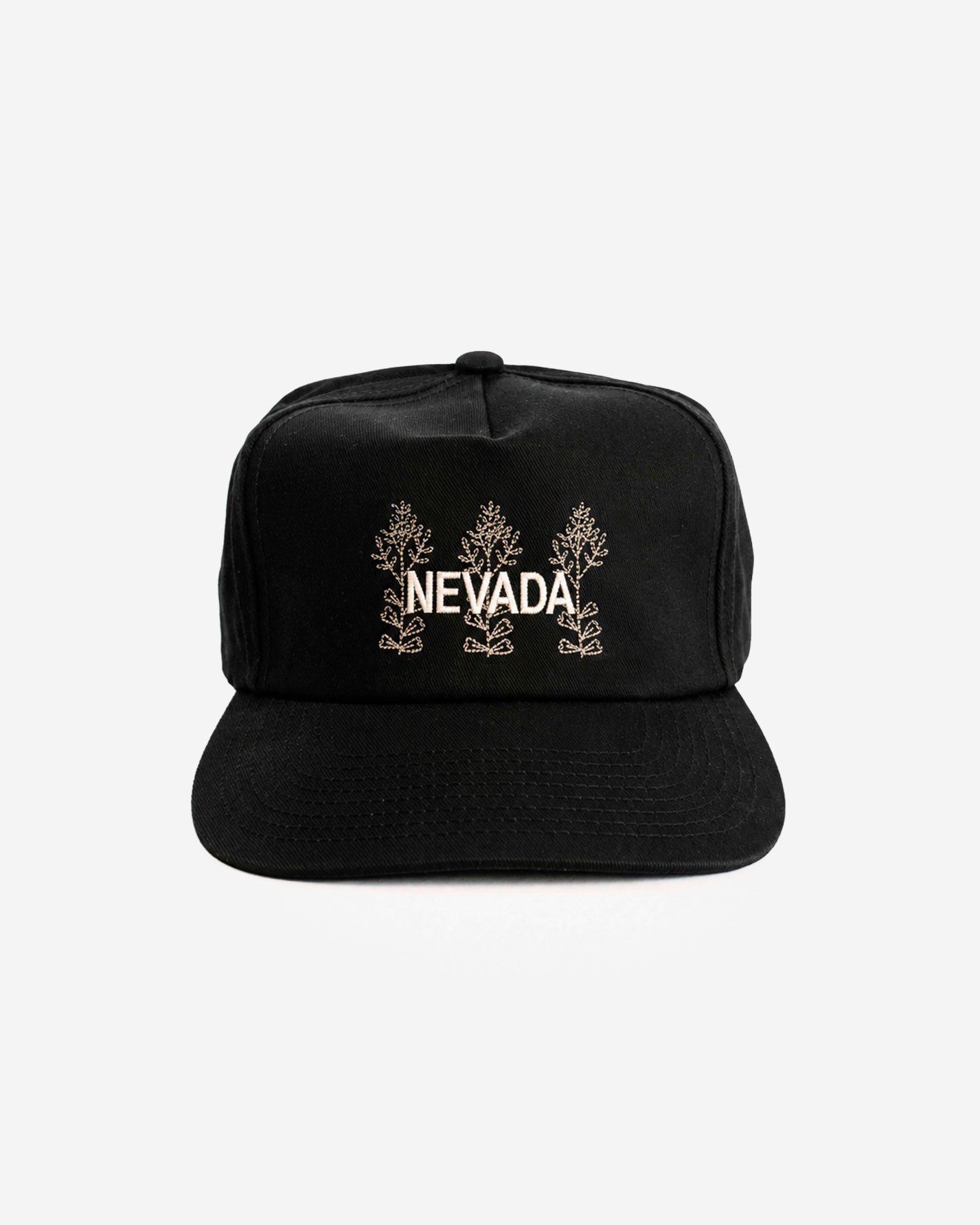 NEVADA.jpg