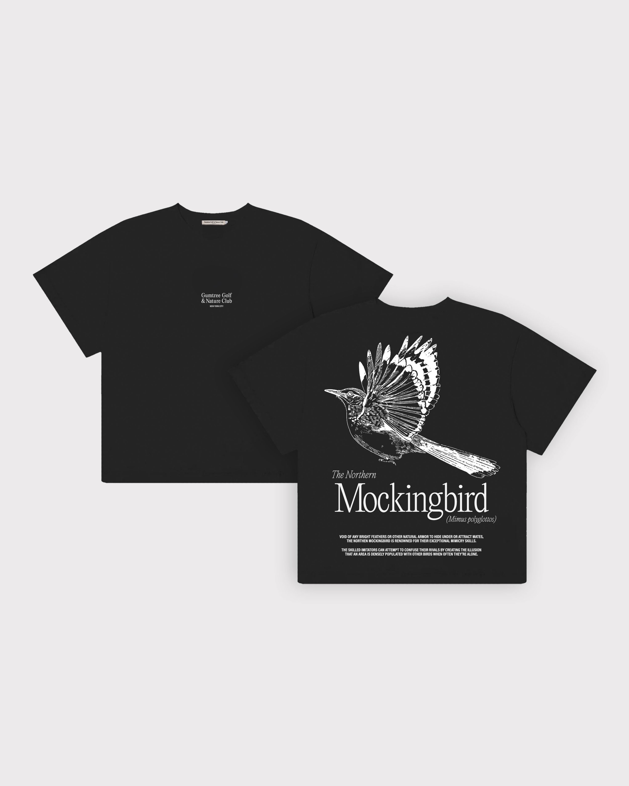 To Fight A Mockingbird - Tee