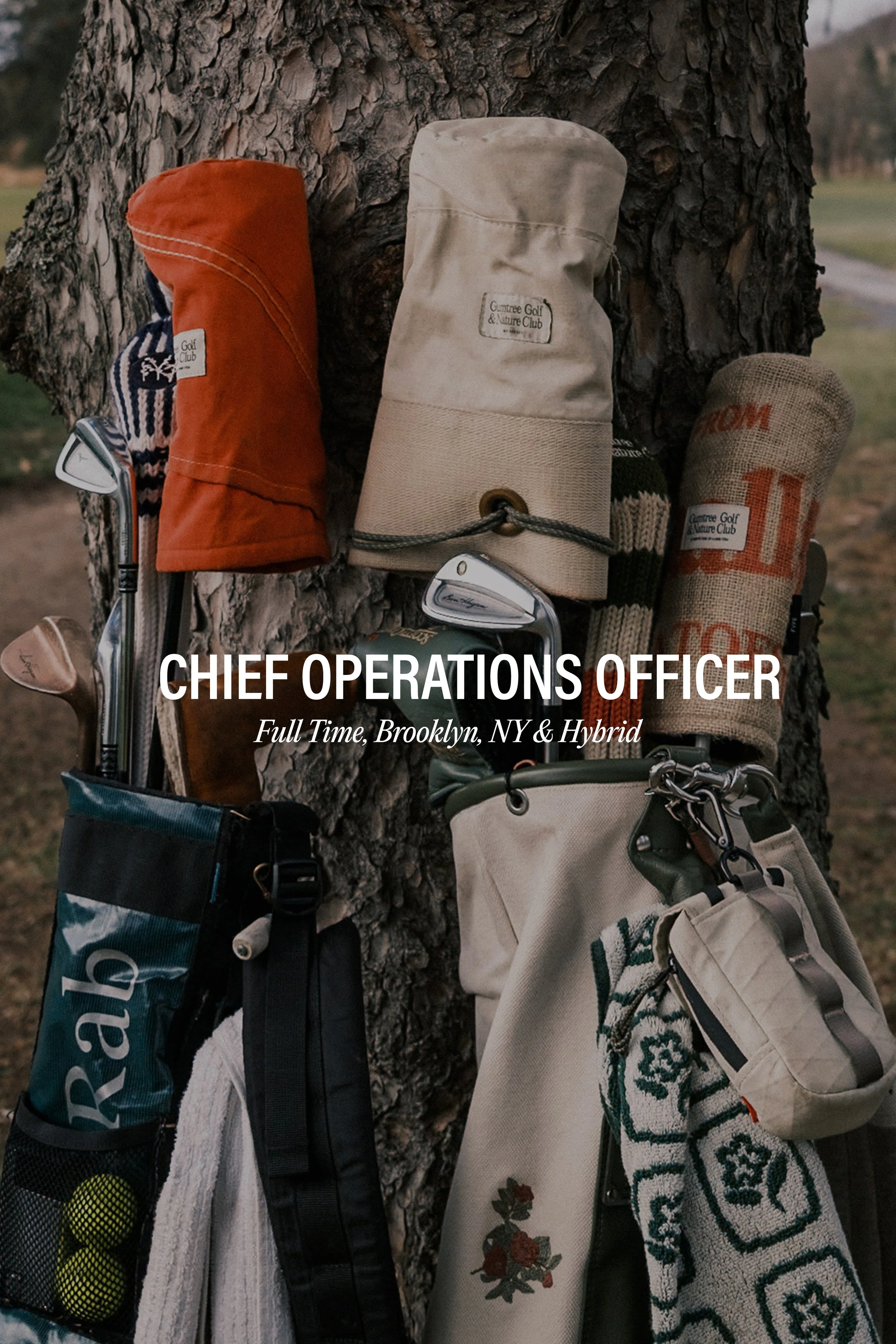 Golf clubs and golf accessories hanging on a tree trunk, including golf club covers, towels, and a golf bag.