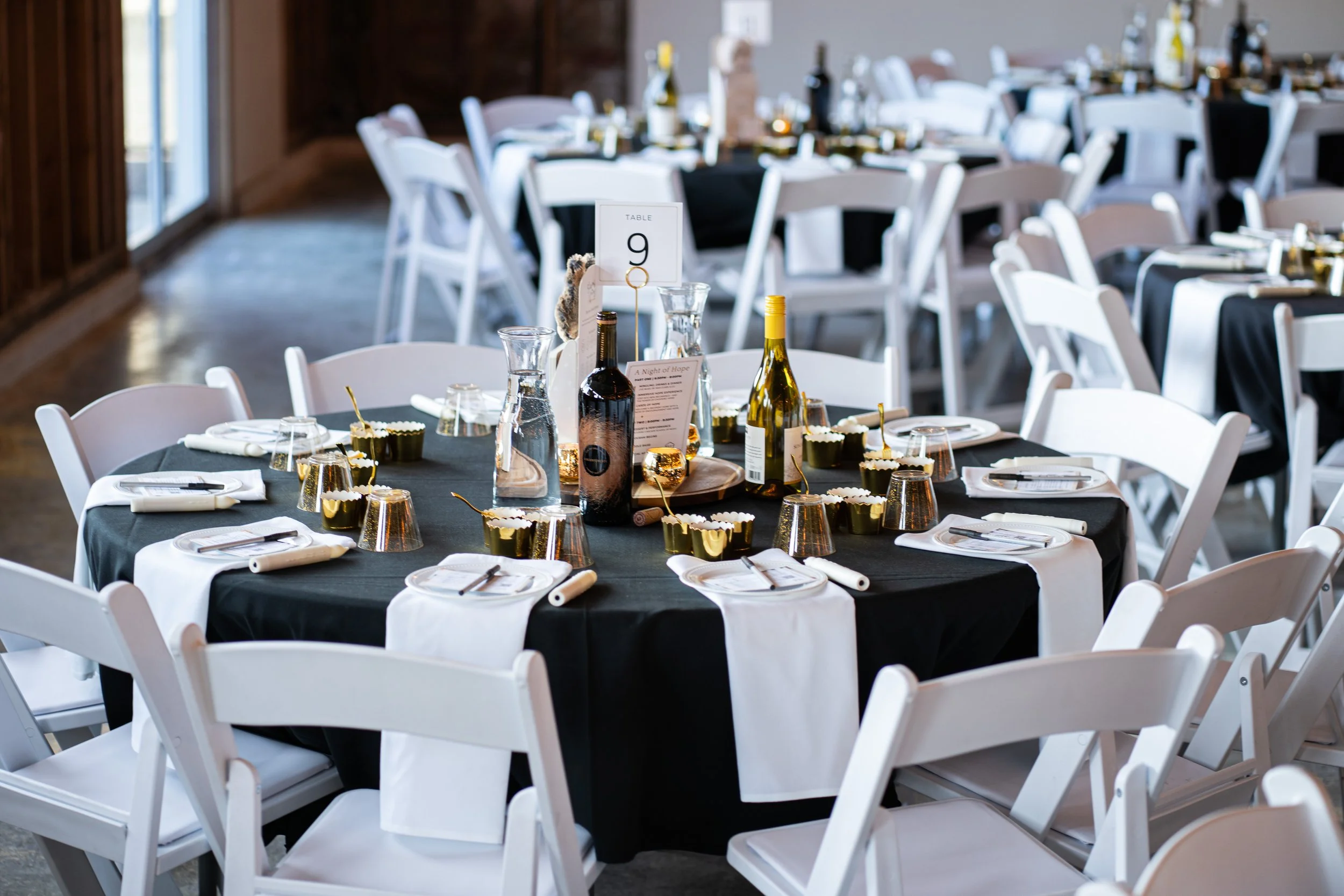 Furnish Hope - CHAIRitable Event 2026 - Brittany Hill photos-7.jpg