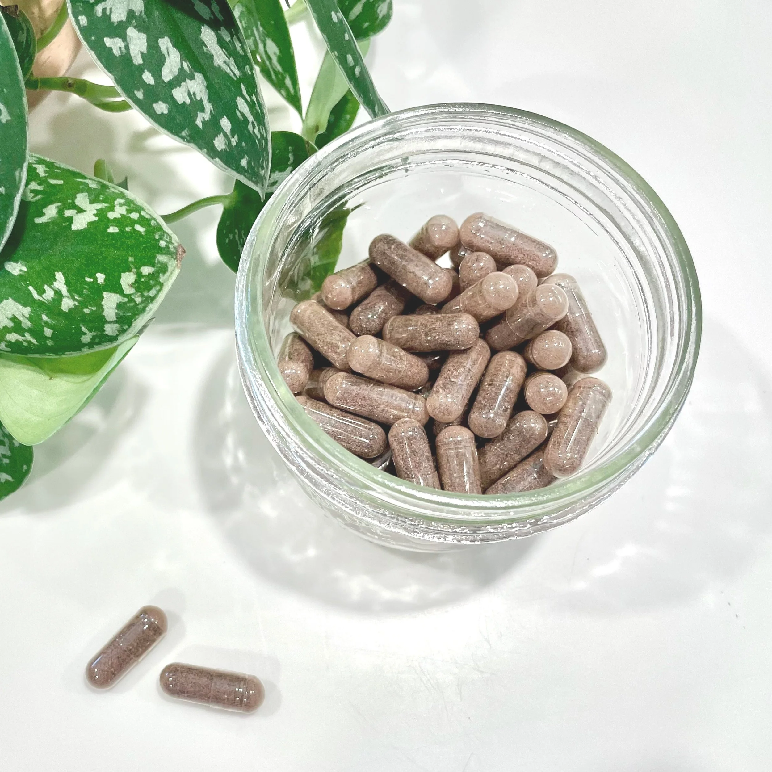 Placenta Encapsulation Wilmington NC 1.jpg