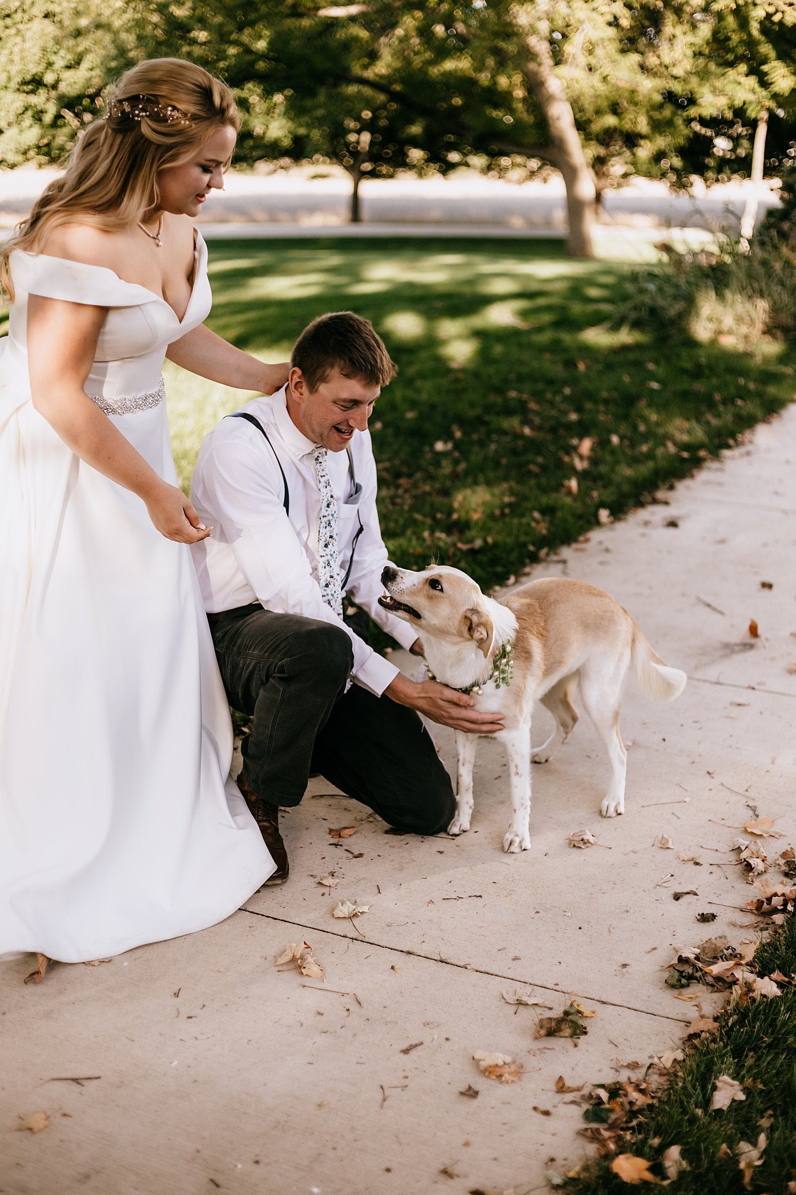  Wedding couple kneeling down to pet a dog before their ceremony  