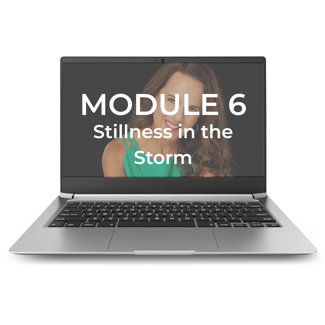 Laptop displaying a woman in a green top smiling, with text overlay that reads "Module 6 Stillness in the Storm."