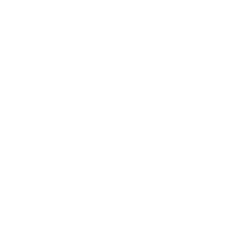 A black and white graphic of a large circle with a smaller circle inside, resembling a stylized speaker or target.