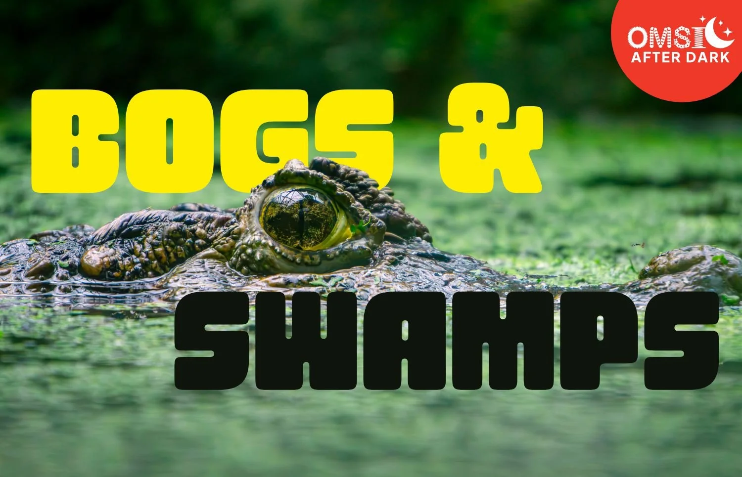 OMSI After Dark: Bogs & Swamps