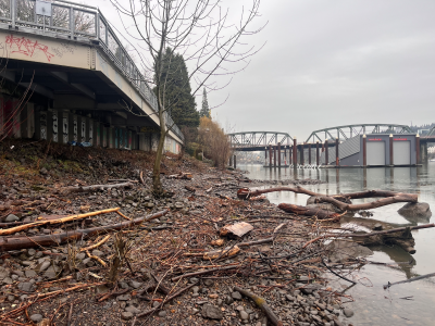 Beach Brigade Volunteer Clean Up