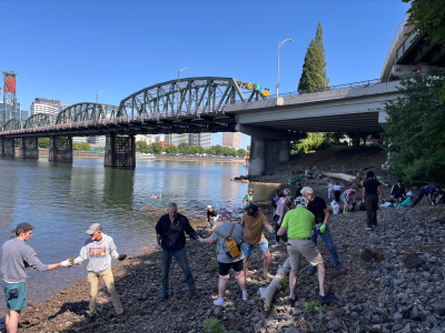 Beach Brigade Volunteer Clean Up