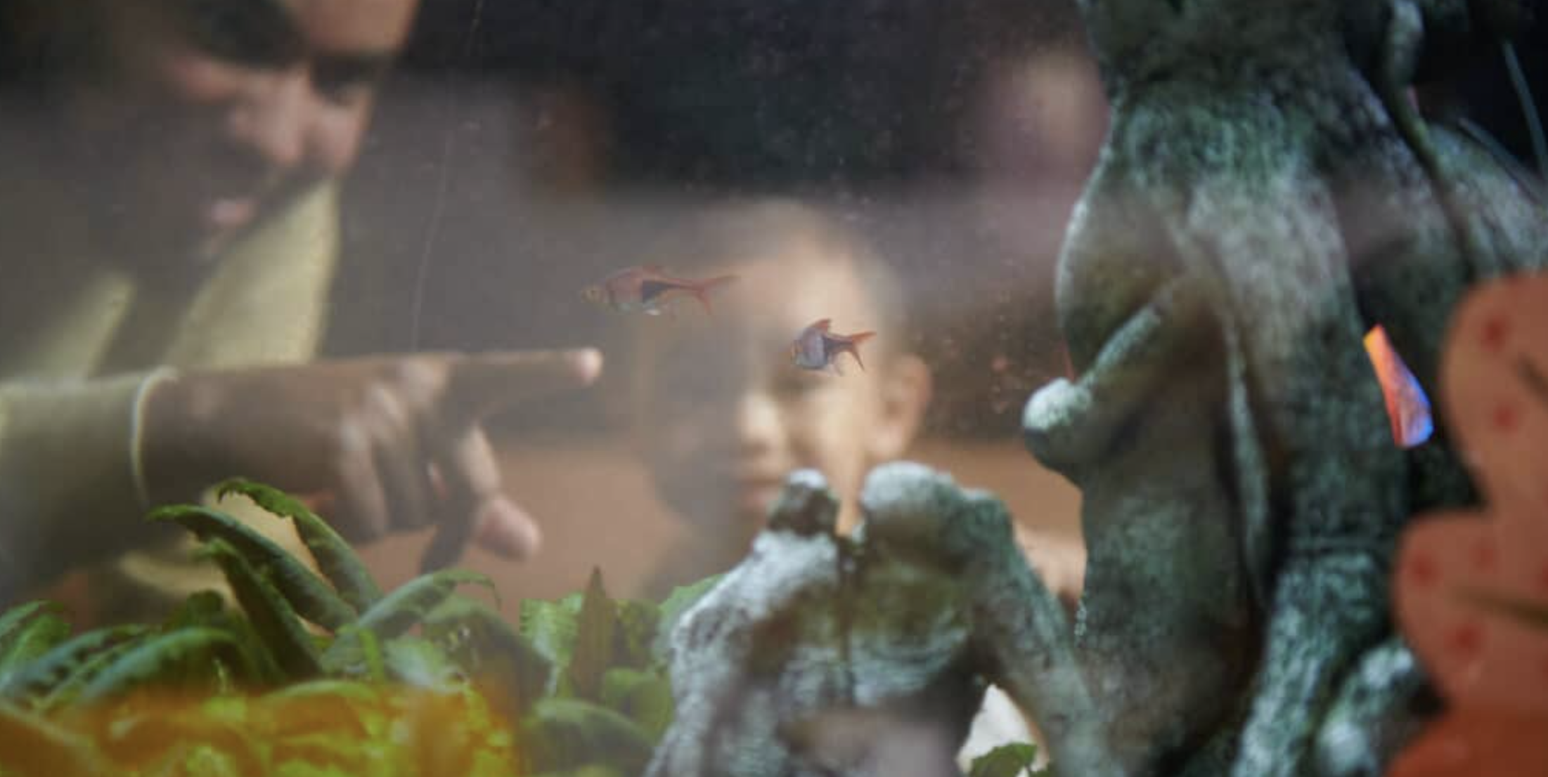 Curiosity Kids: Become a Nature Detective