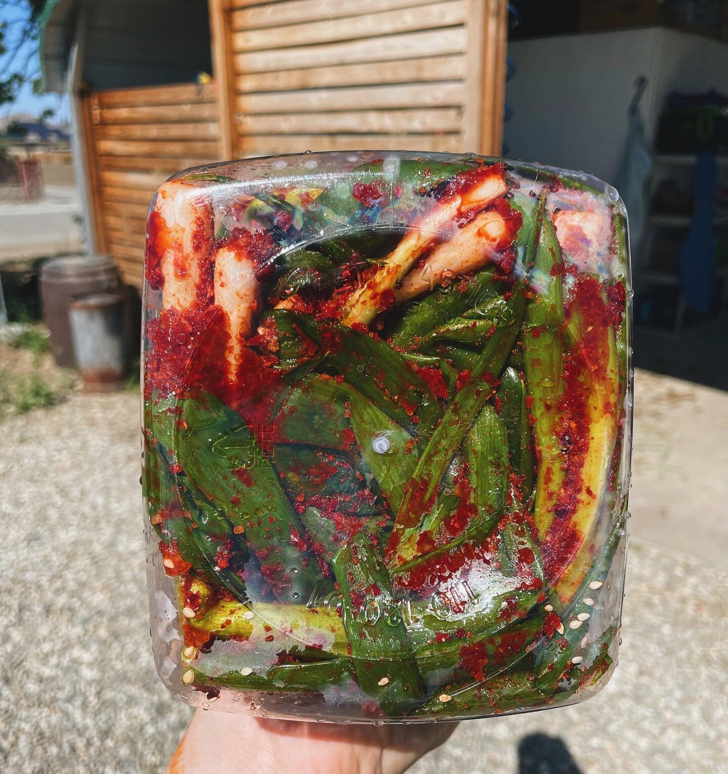🌶🧄Did we make Pa Kimchi at the farm today? We did. Will we put a reel out of the adventure? We will.