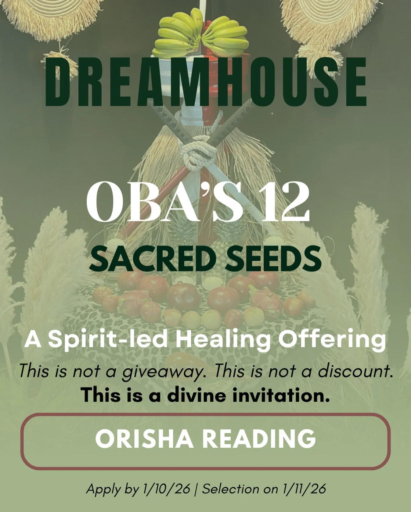 12 Sacred Seeds 

A spirit-led healing offering for 12 souls seeking deeper connection, clarity, and alignment with Spirit.

This offering is held in honor and celebration of my 12th year as an initiate of If&aacute;, a cycle of devotion, listening, 