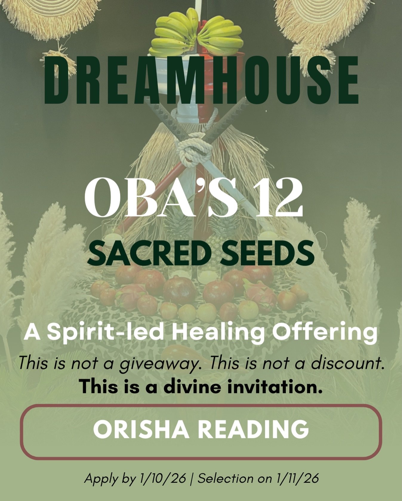 12 Sacred Seeds 

A spirit-led healing offering for 12 souls seeking deeper connection, clarity, and alignment with Spirit.

This offering is held in honor and celebration of my 12th year as an initiate of If&aacute;, a cycle of devotion, listening, 