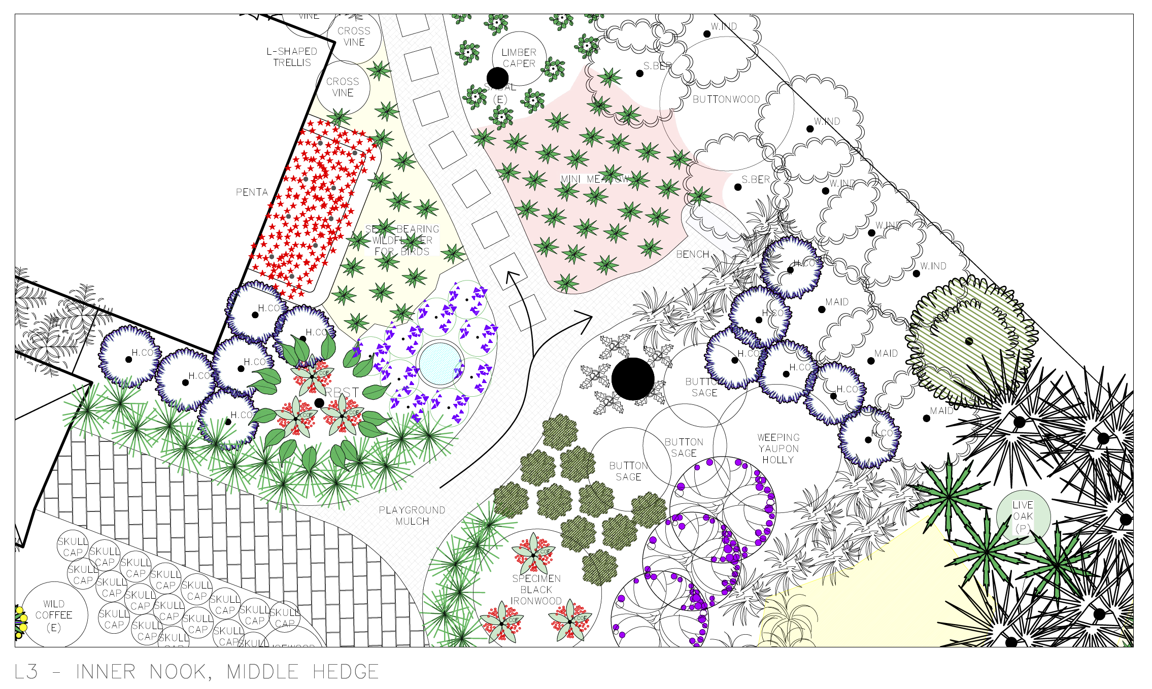 Detail 3 - Wild Flower Path.png