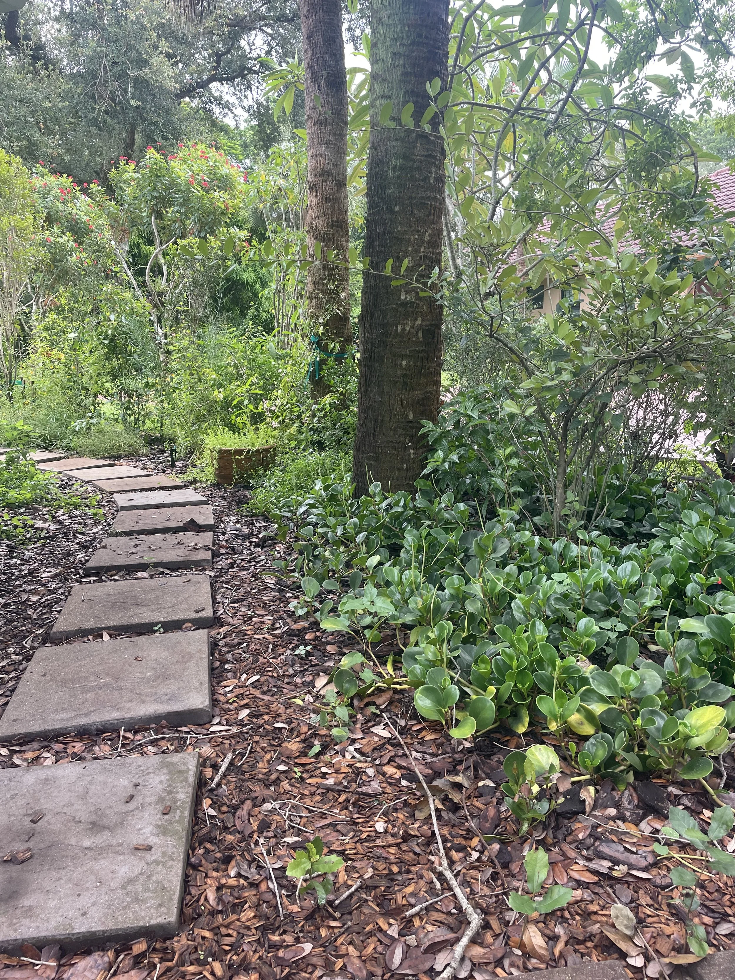 WF Path 1.jpg