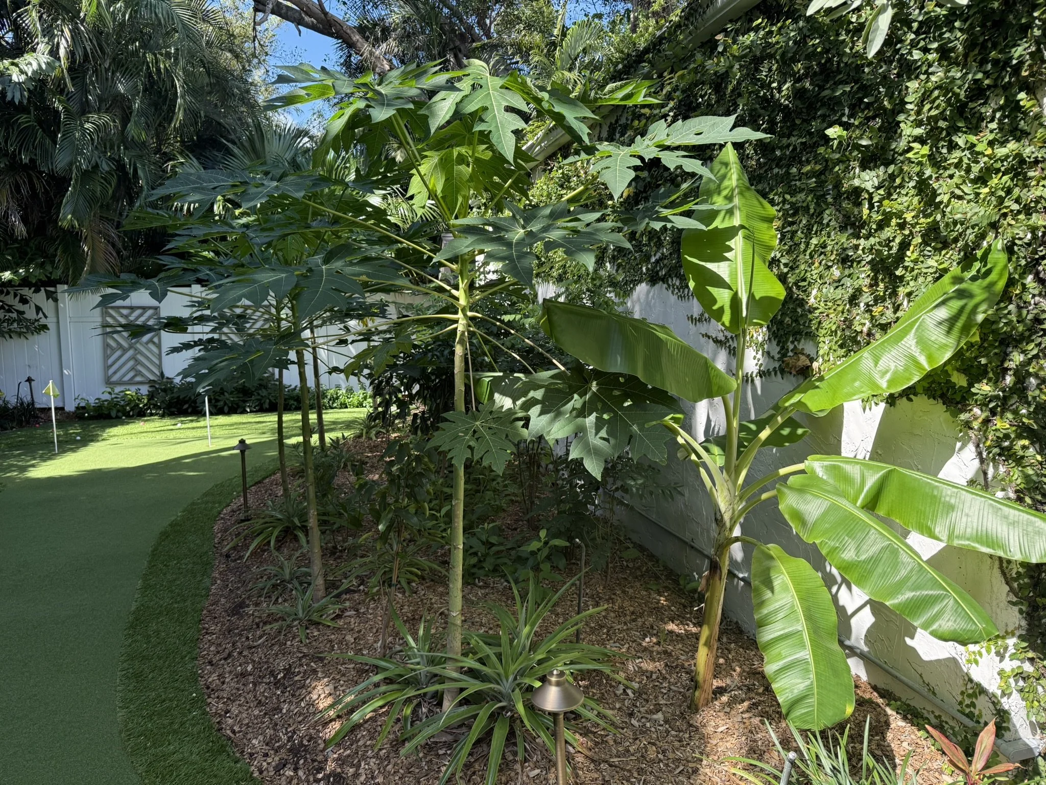 Garden 2.JPEG