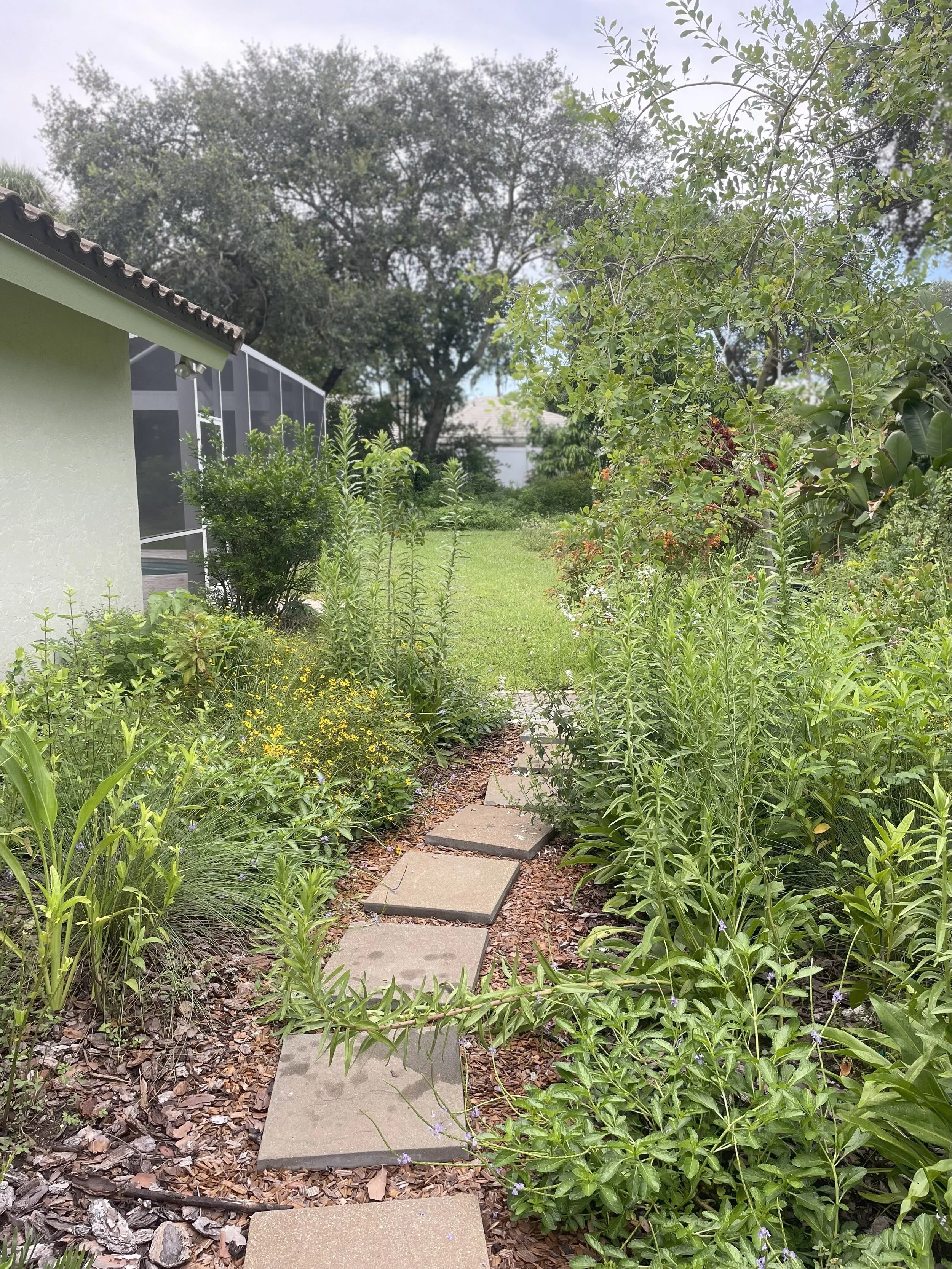 WF Path 4.jpg