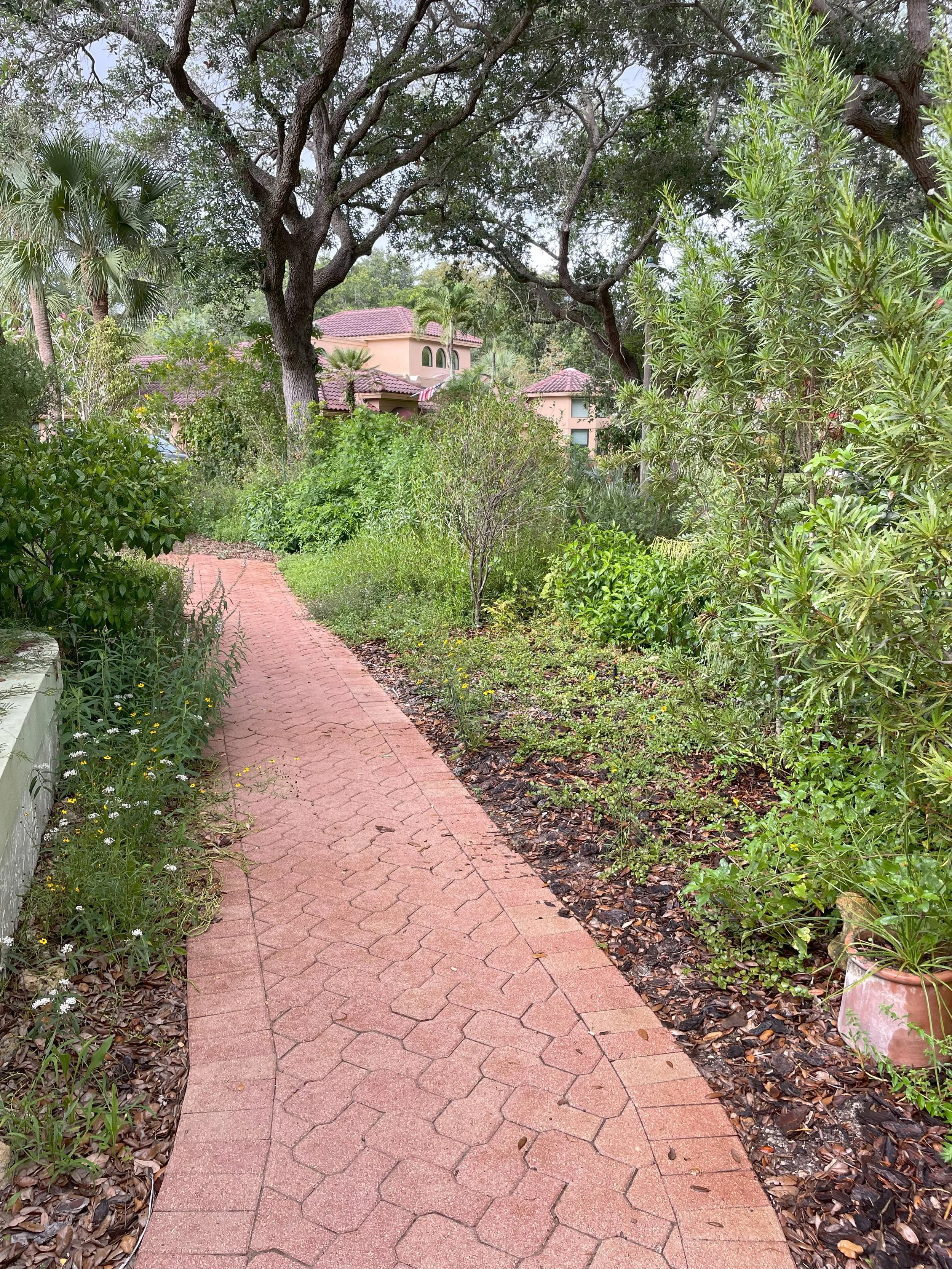 Path 2.jpg