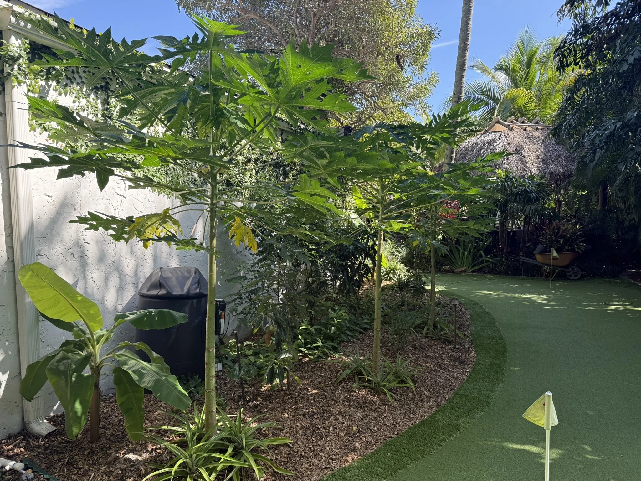 Garden 1.JPEG