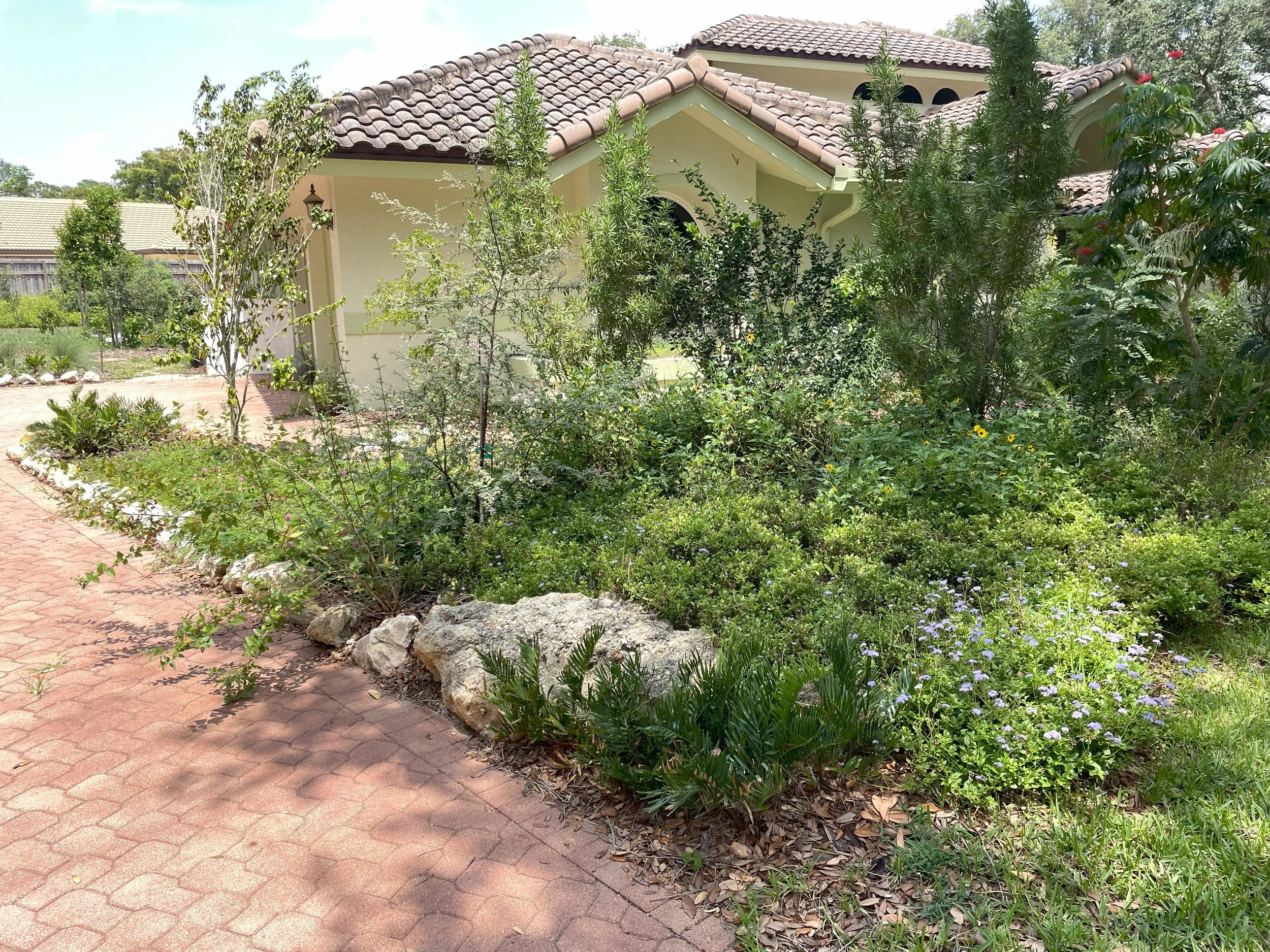 Florida Native Garden