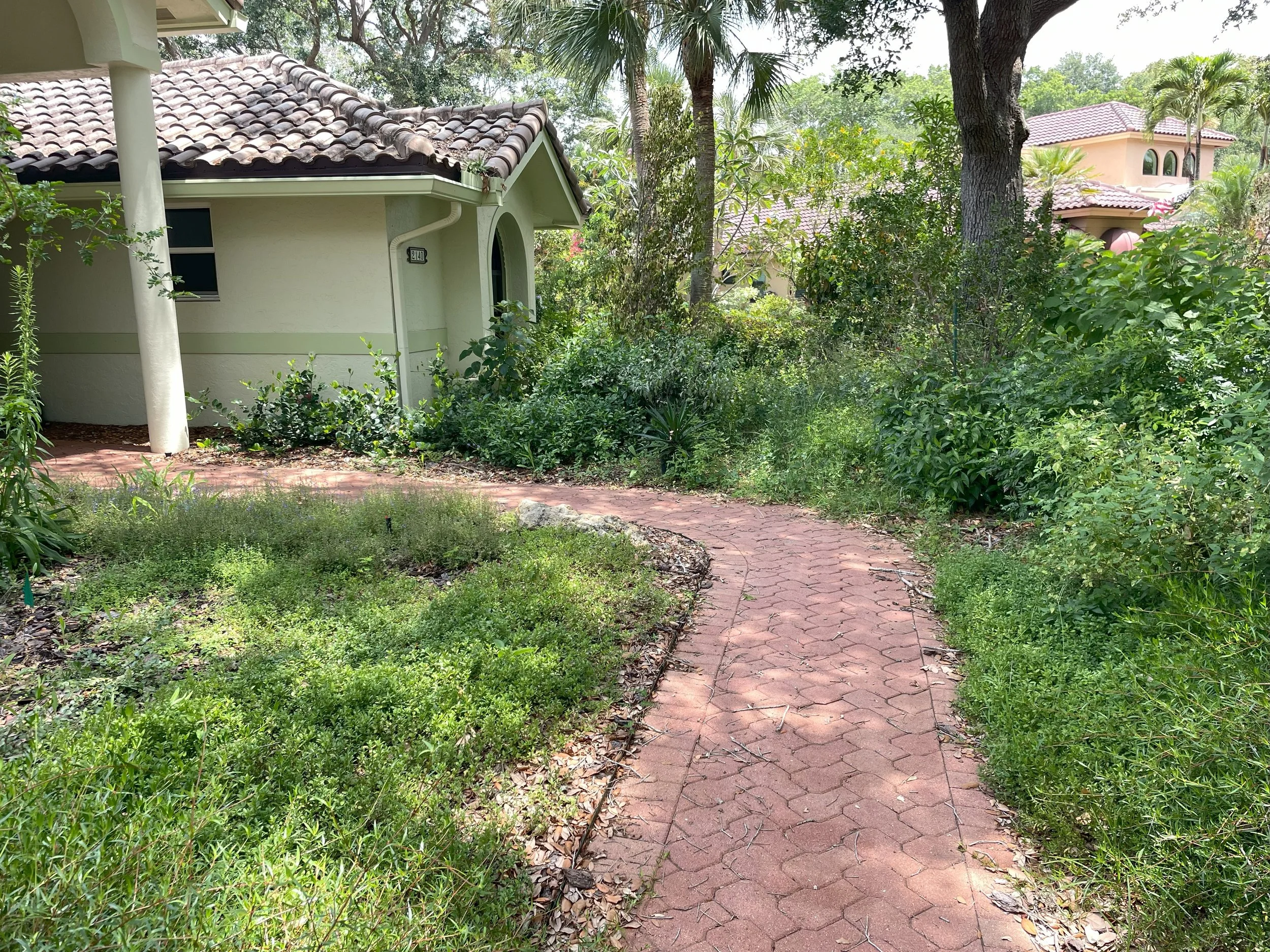 Path 3.jpg