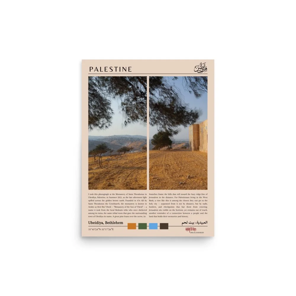 enhanced-matte-paper-poster-%28in%29-12x16-front-6a4427c05deb8.jpg