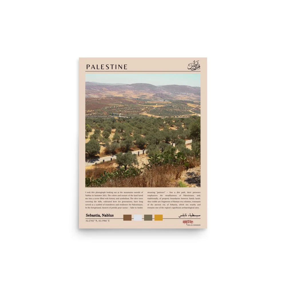 enhanced-matte-paper-poster-%28in%29-12x16-front-6a4429989de84.jpg