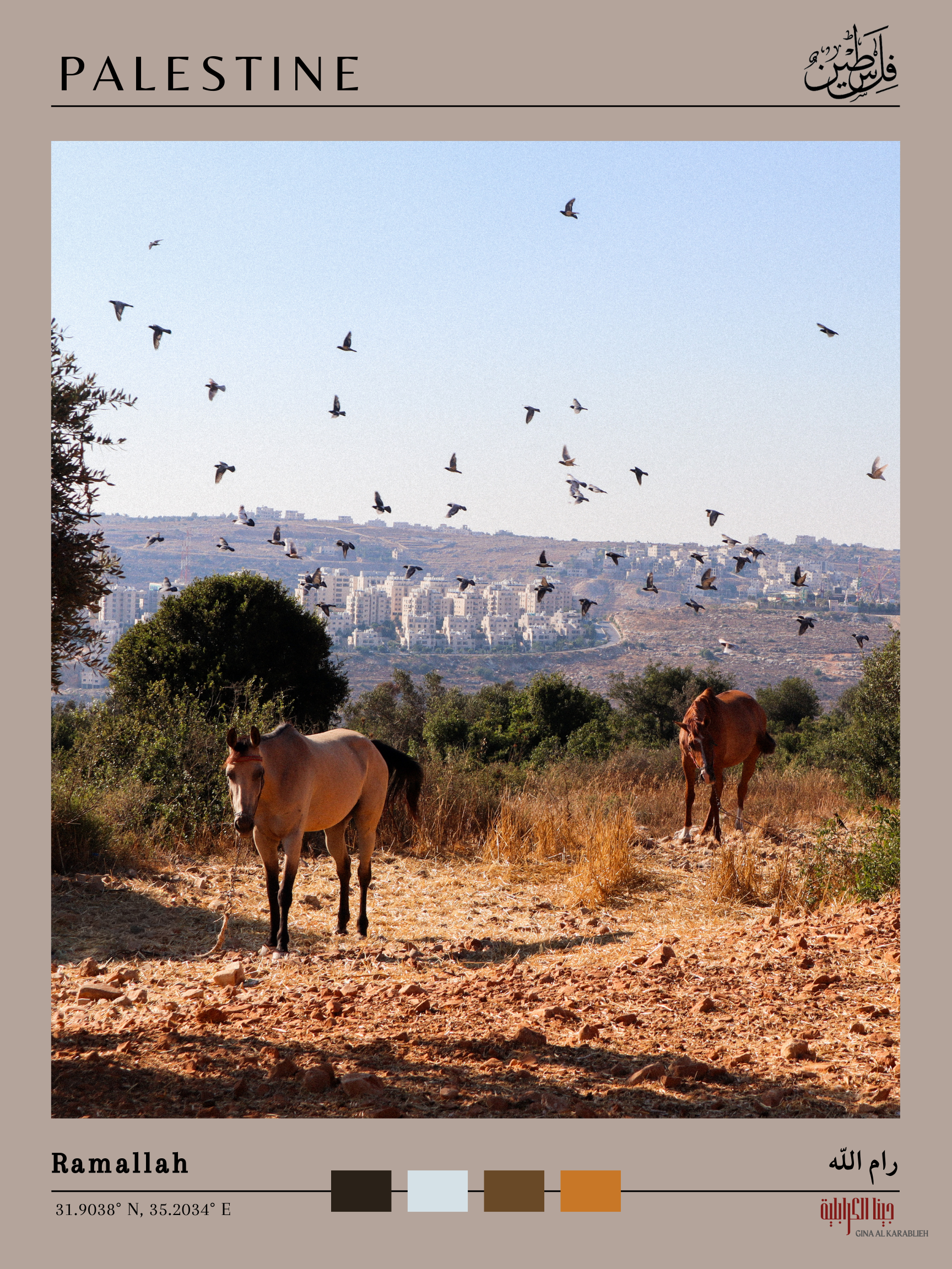 Palestine Prints w credit.png