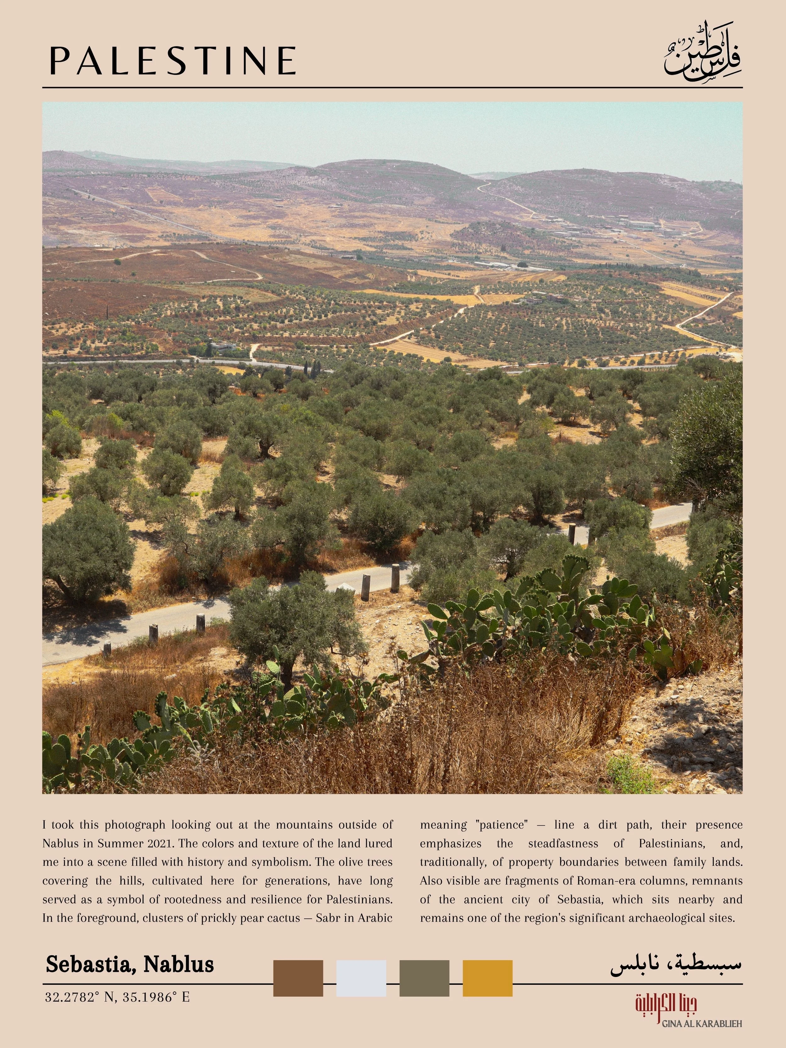 Palestine Prints w credit-2.jpg
