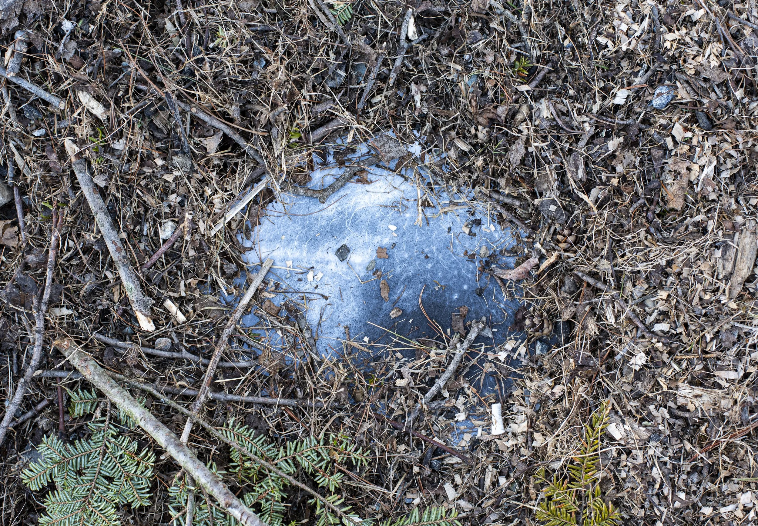 rock in color (1).jpg